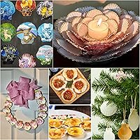 Vista 7 de JSPYFITS 12 conchas de vieira naturales grandes, de 4 a 5 pulgadas, carcasa grande para manualidades, pintura, horneado y decoración de boda