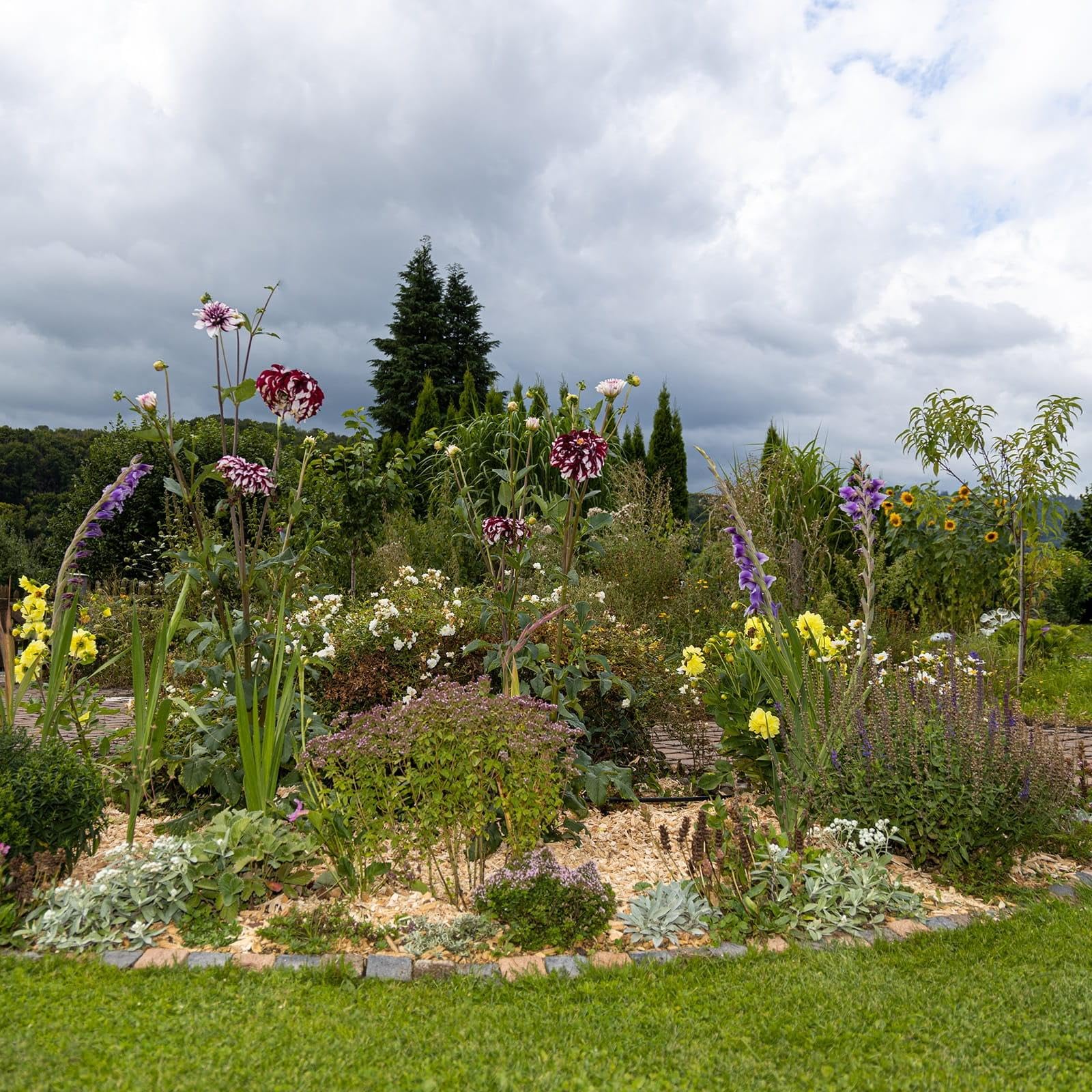 BooGardi Copeaux de bois grossiers de 27/76/100 litres - 76 l - Protection contre les mauvaises herbes - Couverture de parterre - Conception naturelle du sol