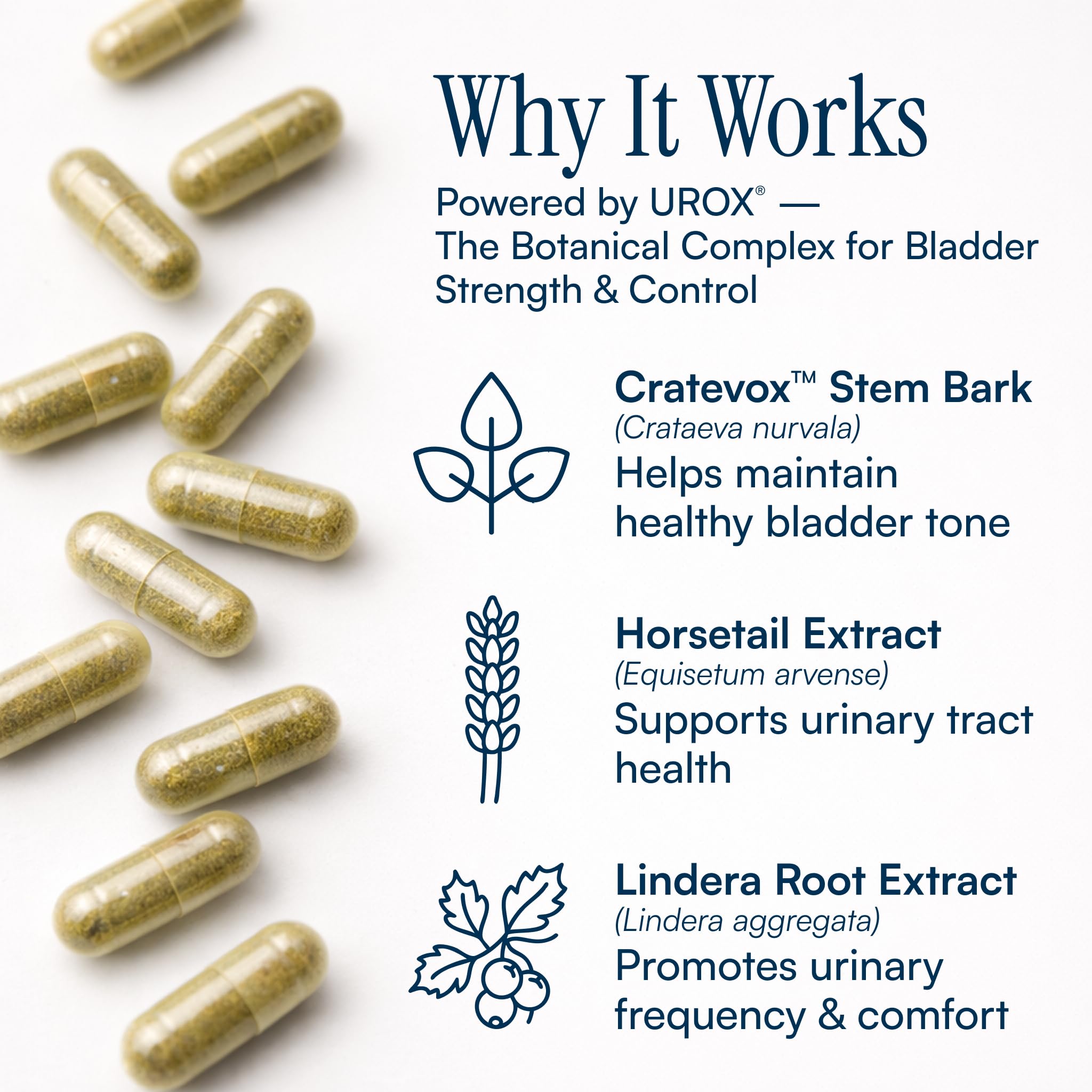 Purity Products MyBladder Support Formula, Bladder Control & Strength — Amazon image 6