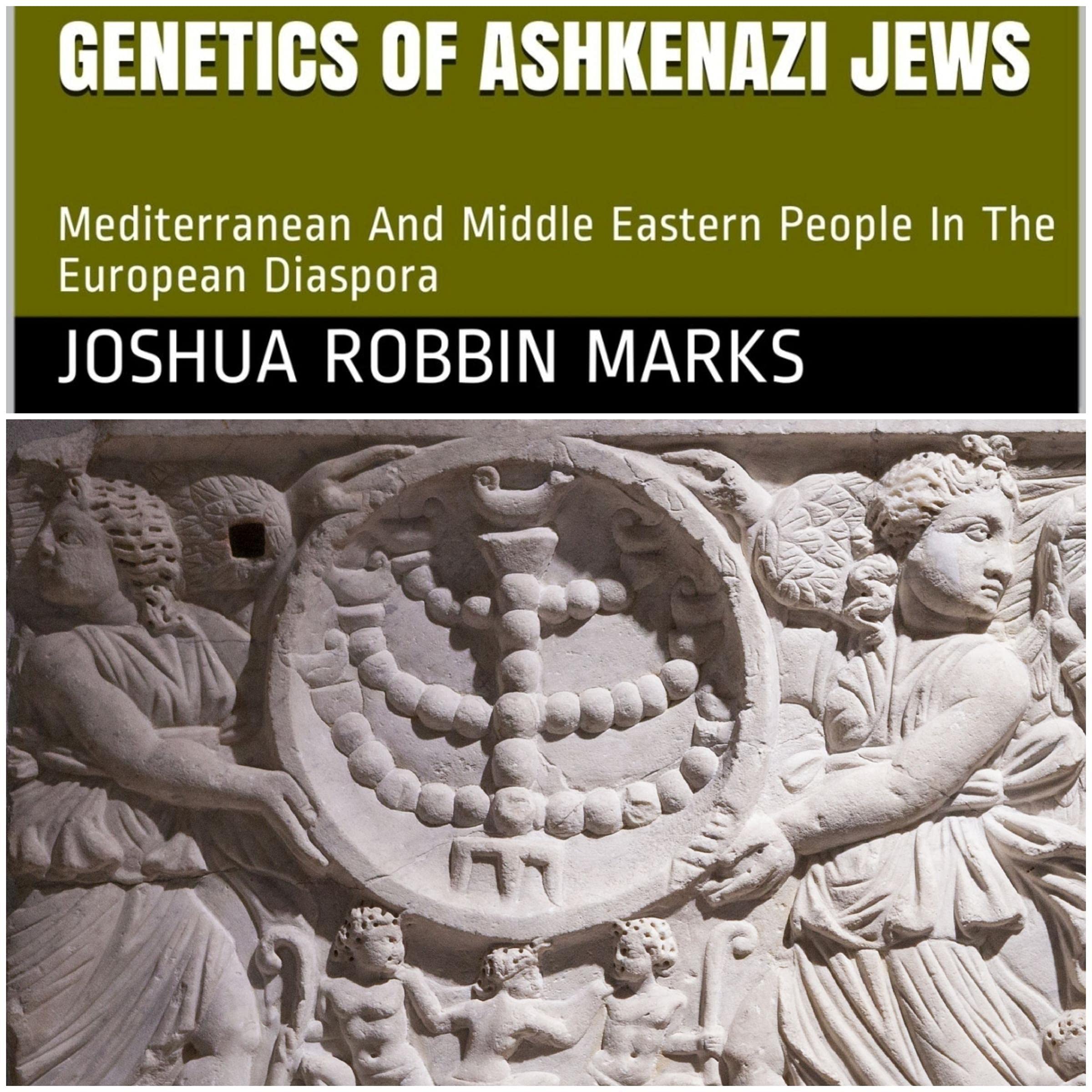 Genetics of Ashkenazi Jews
