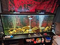 Review Image by Daniel Daniel