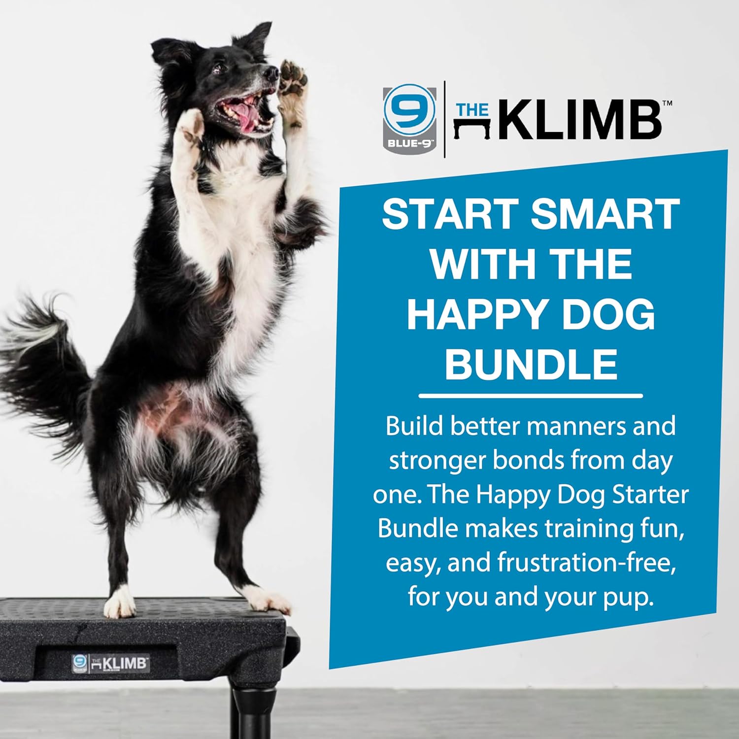 Blue-9 Happy Dog Starter Bundle with KLIMB Dog Training Platform & Traction Mat and Inspire Training Treat Pouch & Training Treats, Black