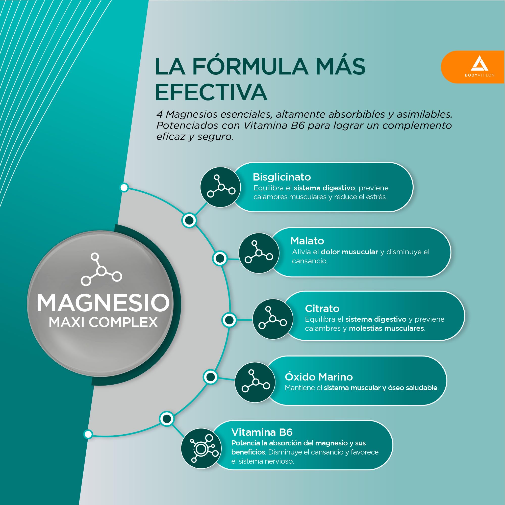 Pack Magnesio Complex y Creatina Creapure | 4 Magnesios + Vitamina B6 y Creatina Creapure Comprimidos | Magnesio Complet + Creatinas Monohidrato Creapure