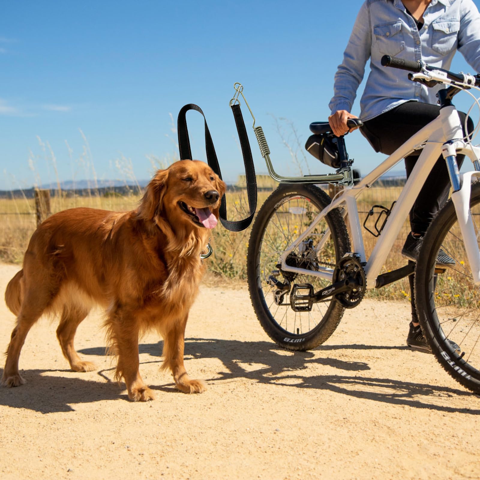 Laisse De Vélo pour Chien: Vélo pour Chien Mains Libres, Installation Et Démontage Facile, Pet Dog Bicycle Leash pour Le Jogging, L'entraînement, Le Cyclisme Et L'extérieur