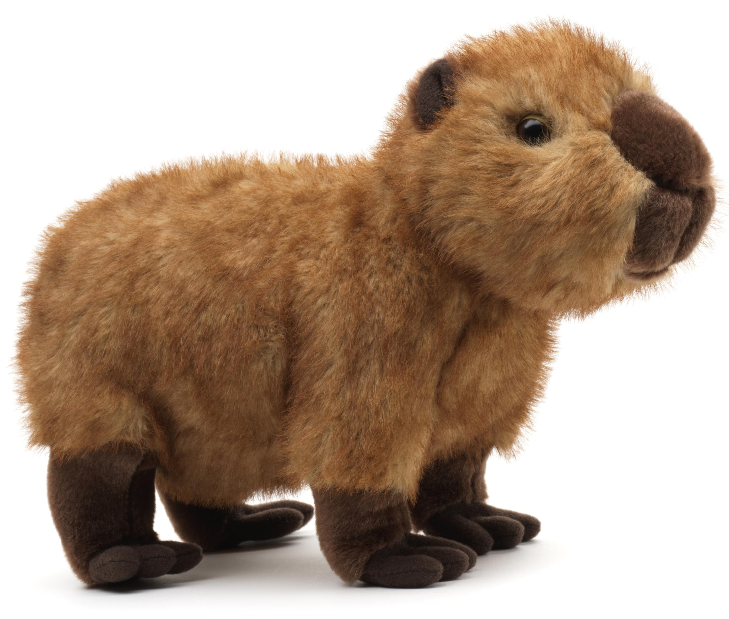 Uni-Toys - Capybara, standing - 27 cm (length) - plush guinea pig, water pig - plush toy, cuddly toy