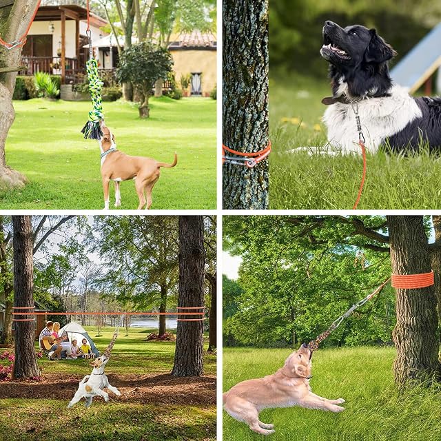 Foto 4 de 8 de TUAHOO Cuerda Elástica para Perros, Poste de Resorte Interactivo, Juguete de Cuerda para Perros