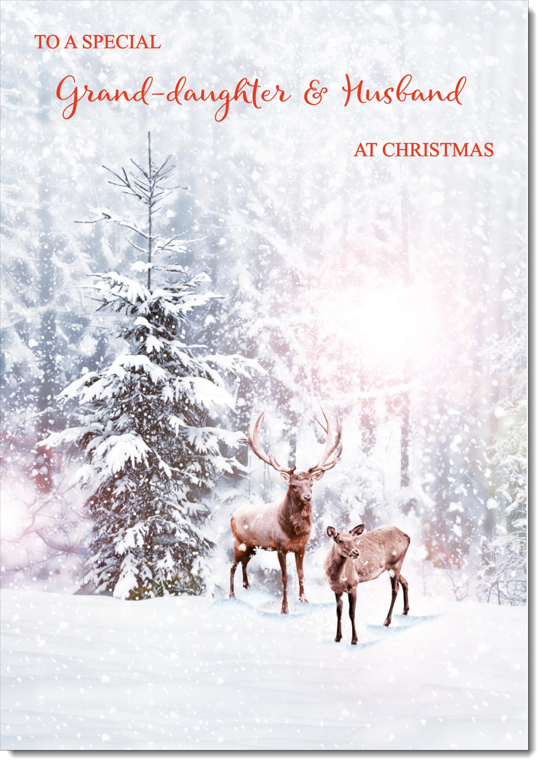 doodlecards Granddaughter and Husband Christmas Card Deers in Forest Large A4 Size Christmas Card for Granddaughter & Husband with Plain Envelope