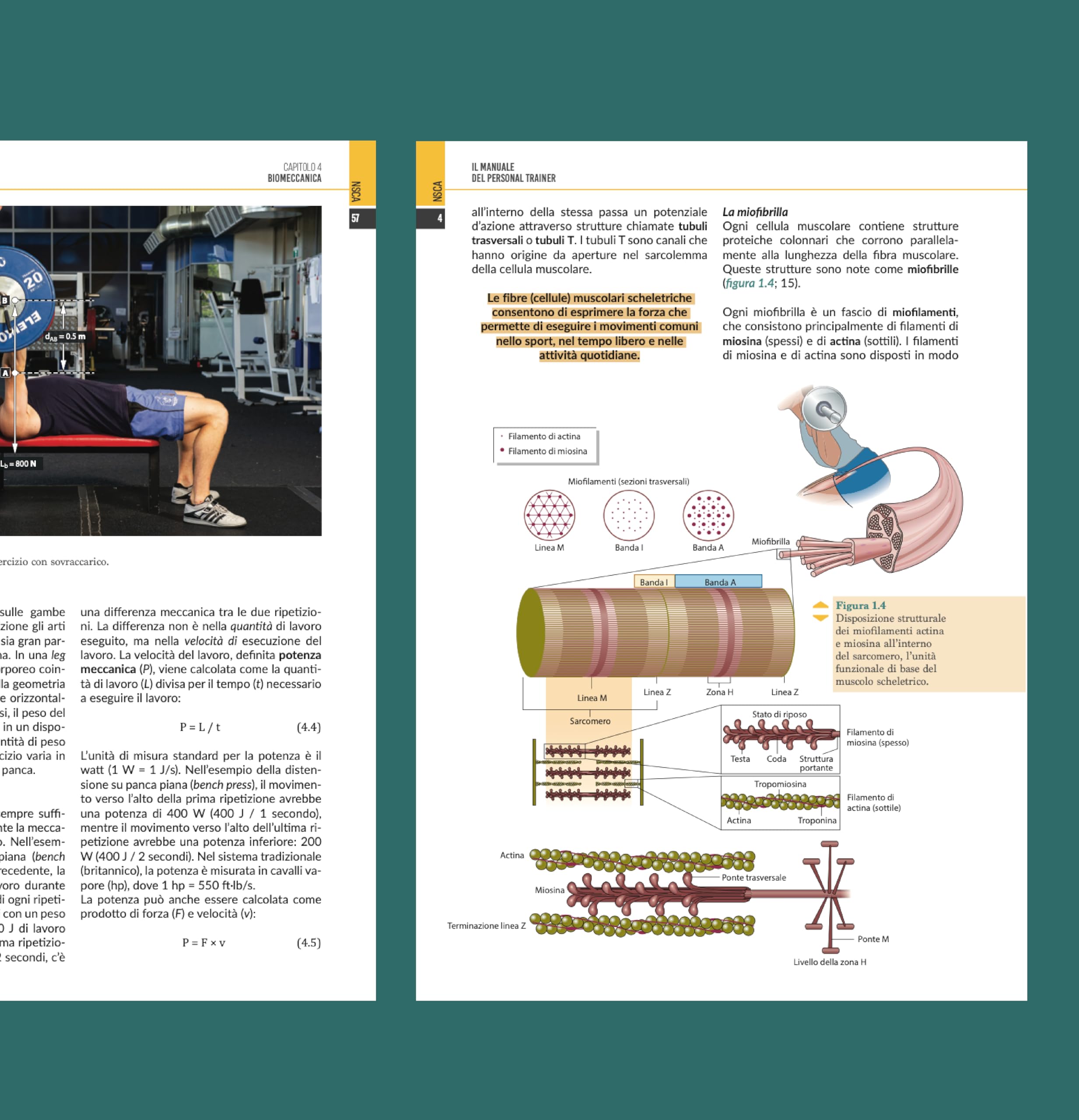 Il manuale del personal trainer NSCA