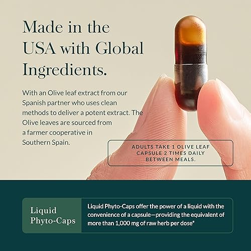 Miniatura 4 de Gaia Herbs Olive Leaf - Apoyo tradicional para la salud inmunológica suplemento para el sistema inmunológico con extracto de hoja de oliva y