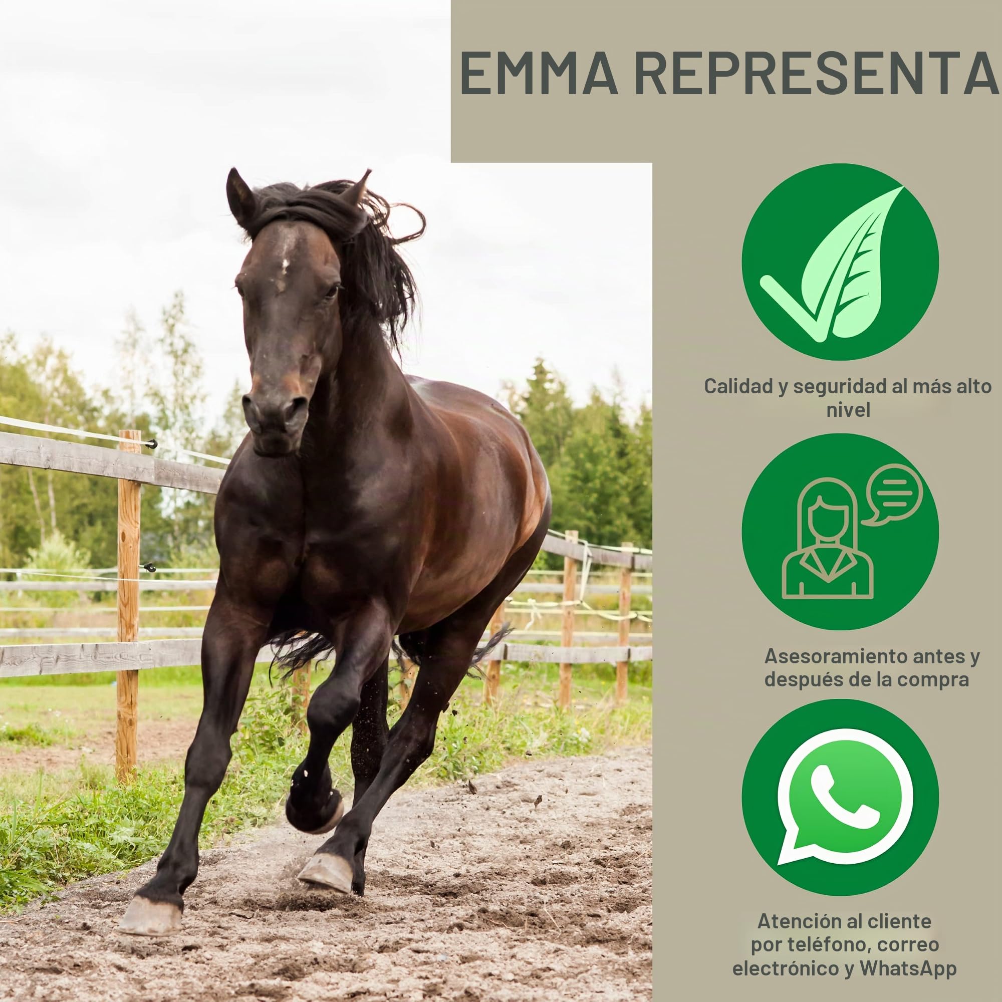 Estómago Intestino Booster Caballo - Probióticos - Levadura de Cerveza I Vitamina E Caballo Cultivos de Levadura Flora Intestinal Tracto Gastrointestinal después de Cólicos Vómitos Agua Diarrea 30ml