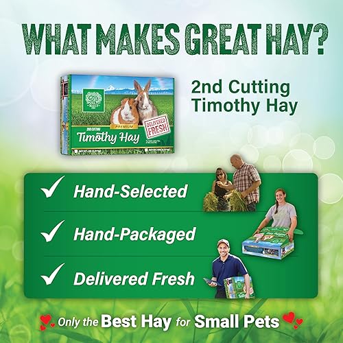 Miniatura 6 de TIMOTHY HAY - Small Pet Select 2 "Perfect Blend" - Comida para mascotas