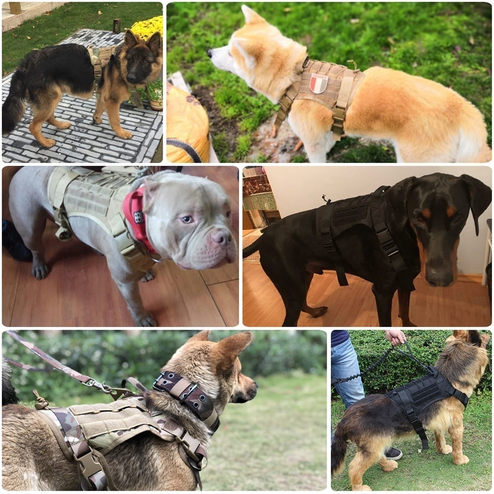 Arnés Militar Táctico para Perros y Collar para Perros Entrenamiento Arnés de Nylon para Perros con Anillo D y Hebilla para Perros Medianos y Grandes