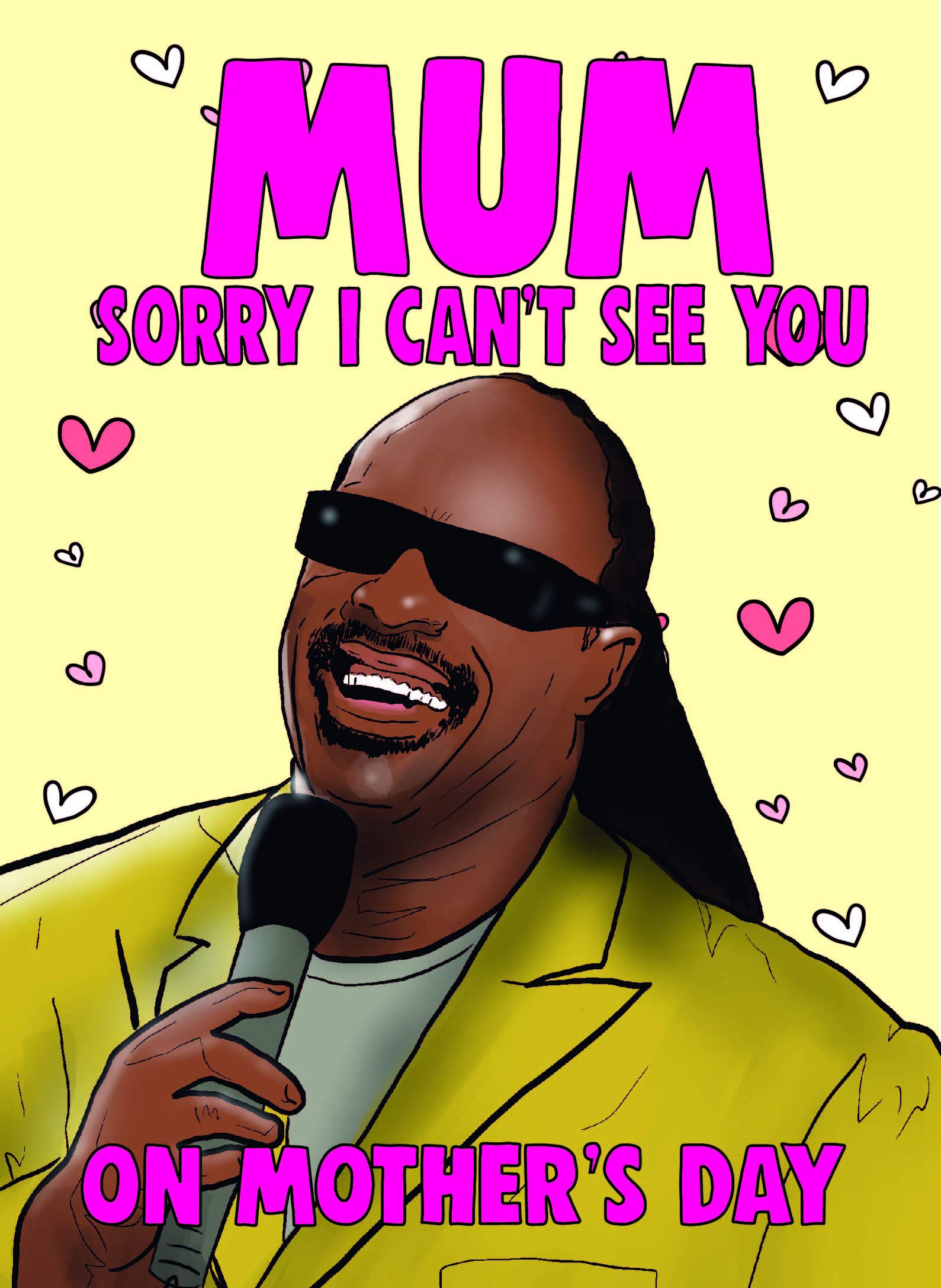 Stevie Wonder Sorry I Can T See You Funny Mothers Day Card M97
