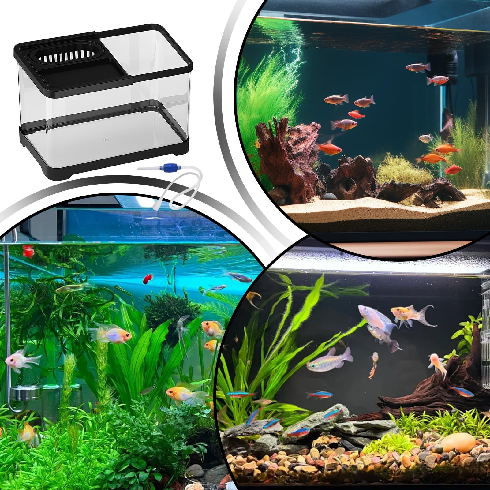 Pecera para Betta | Peceras Transparentes para Peces Betta con Filtro - Boles Decorativos Cristalinos para Camarones Guppys Caracoles Tortugas Amantes De Mascotas Principiantes Escritorio
