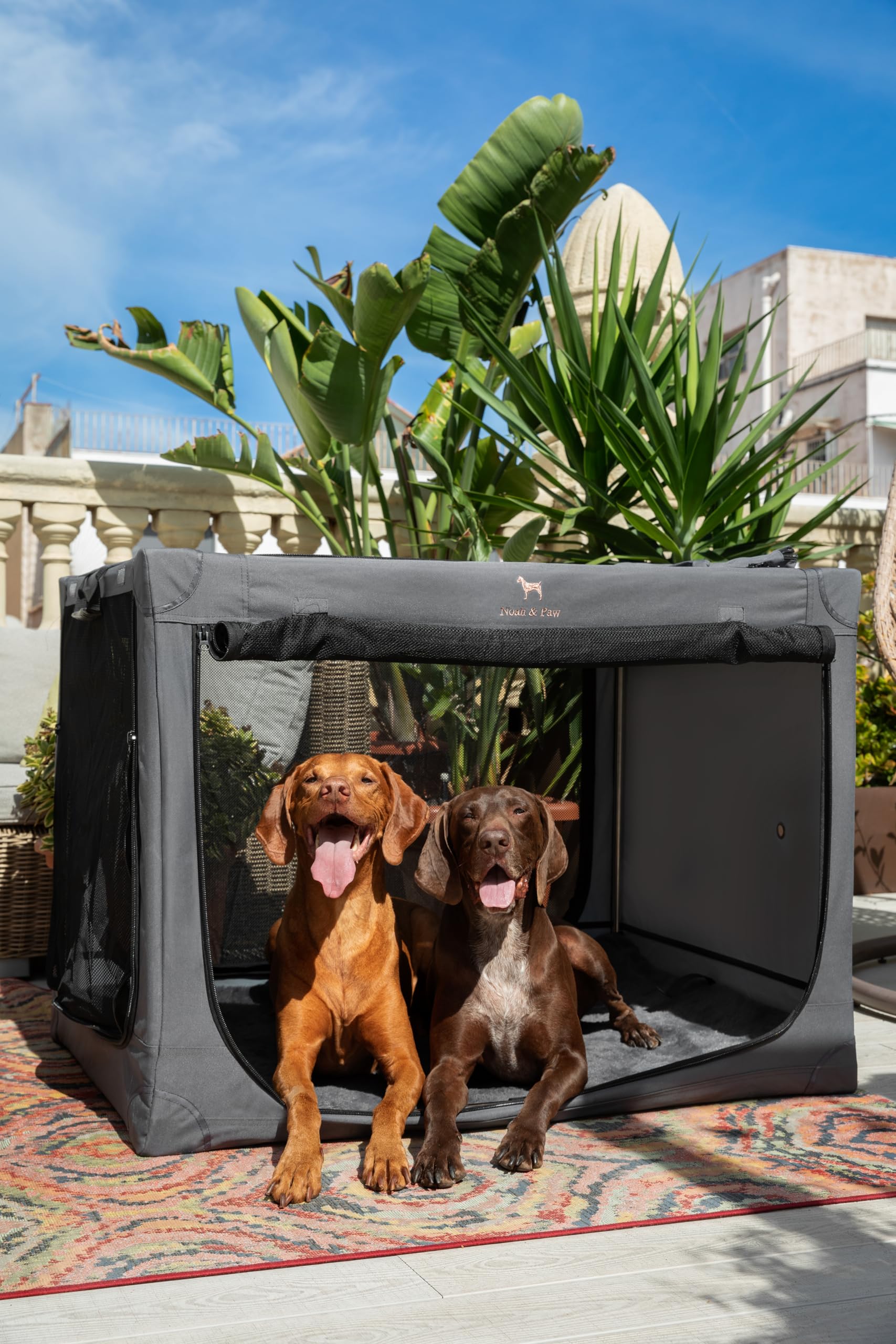 Noah & Paw Gabbia pieghevole per cani 42", gabbia XXL per razze XL e grandi, trasportino auto, tappetino incluso, 2 tasche, borsa, cerniere 10 mm 42x31x31