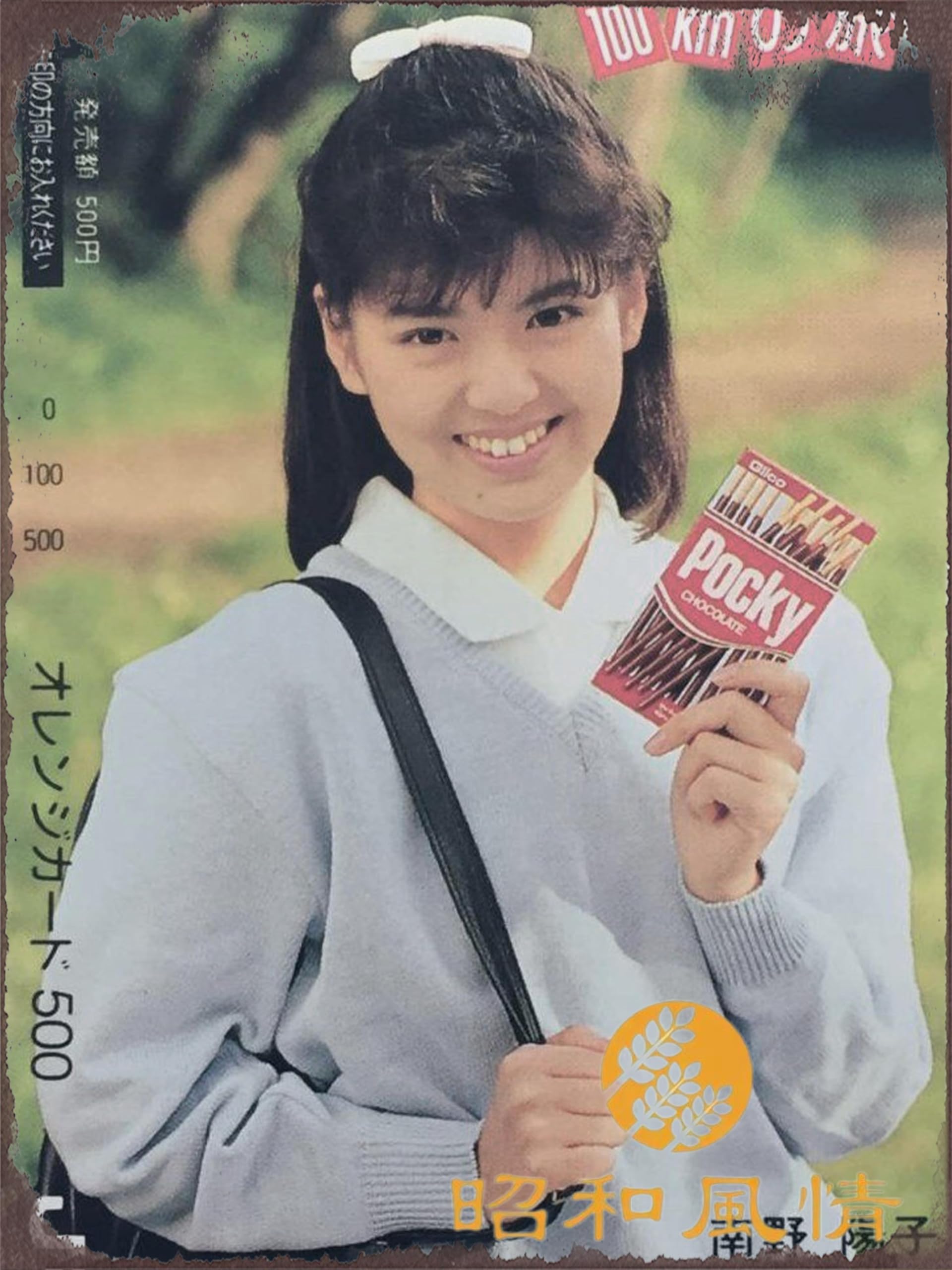 Amazon.co.jp: 【2枚組 】南野陽子 懐かし ブリキ看板 ポスター