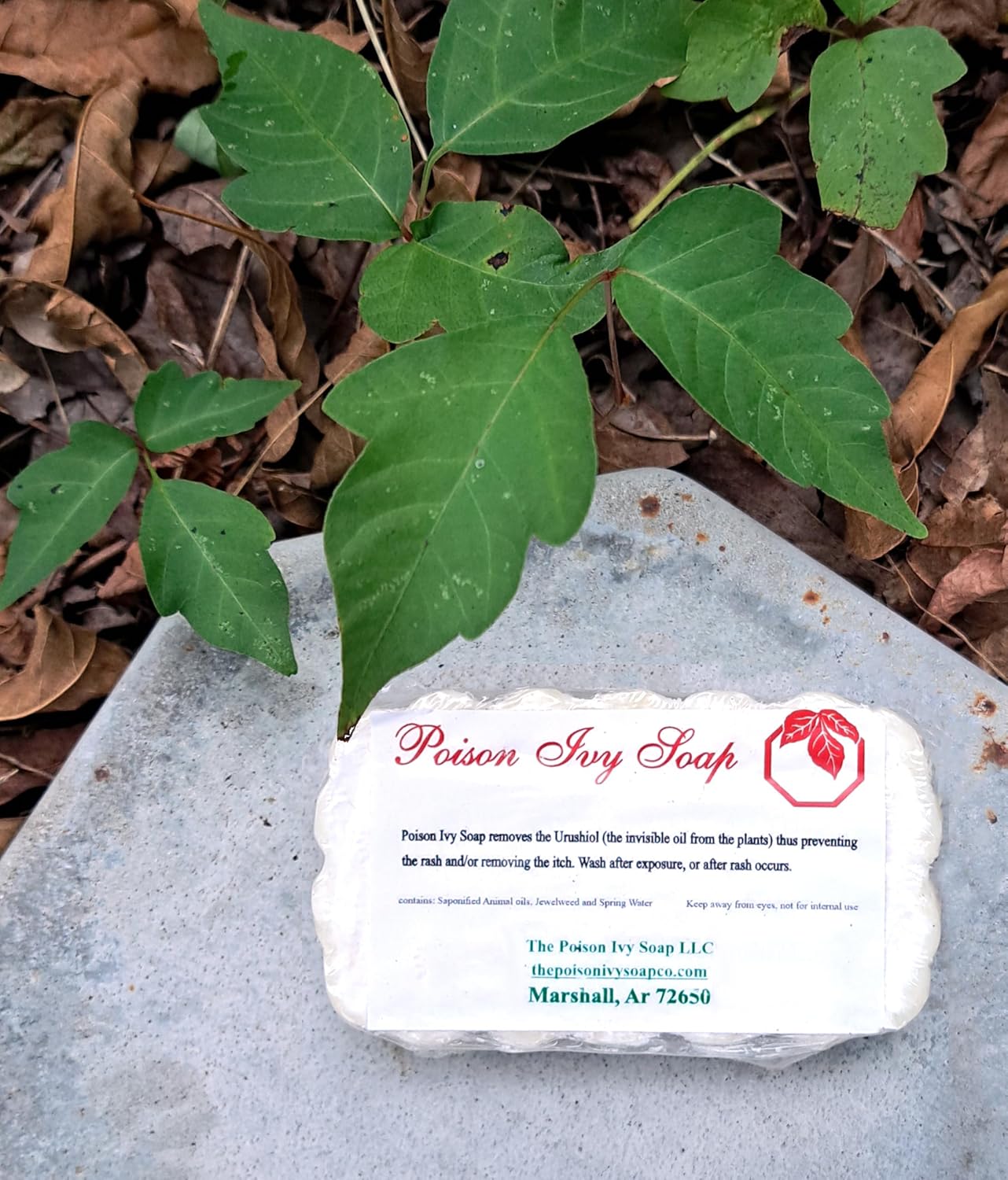Poison Ivy and Oak Soap Bar - 2.8oz Itch Relief Wash with Jewelweed (2 Count), Cream