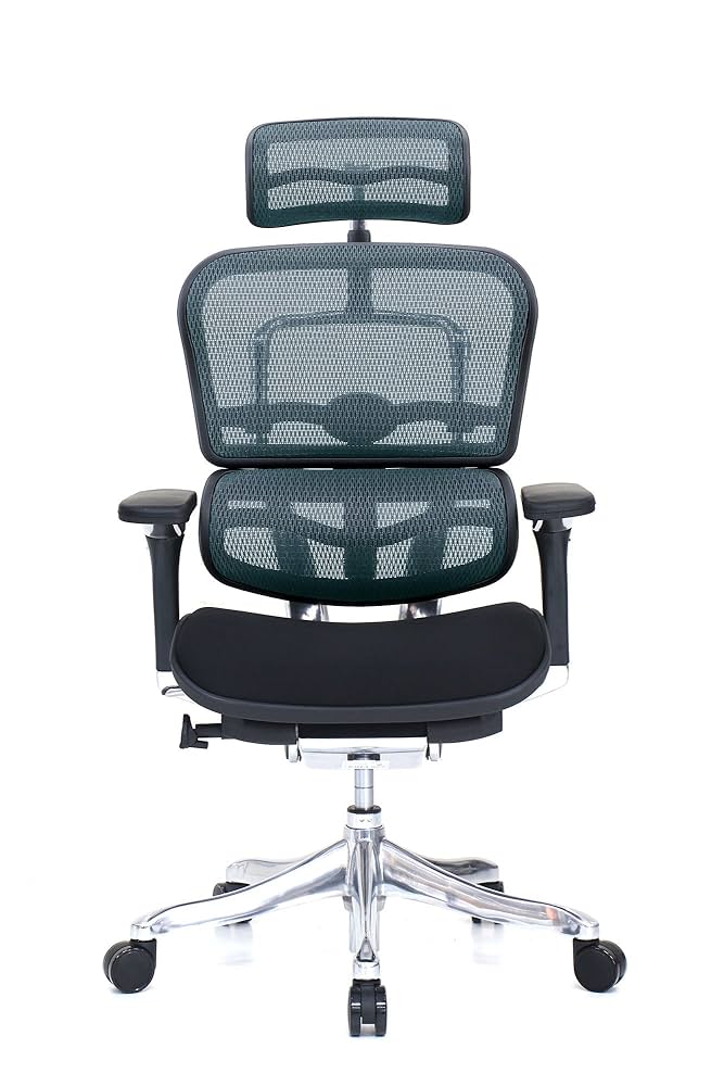 【ふけさま　専用　極美品】座面のみ　エルゴヒューマンプロ【使用頻度低】 Amazon.co.jp: 【旧型】 エルゴヒューマン プロ オフィスチェア