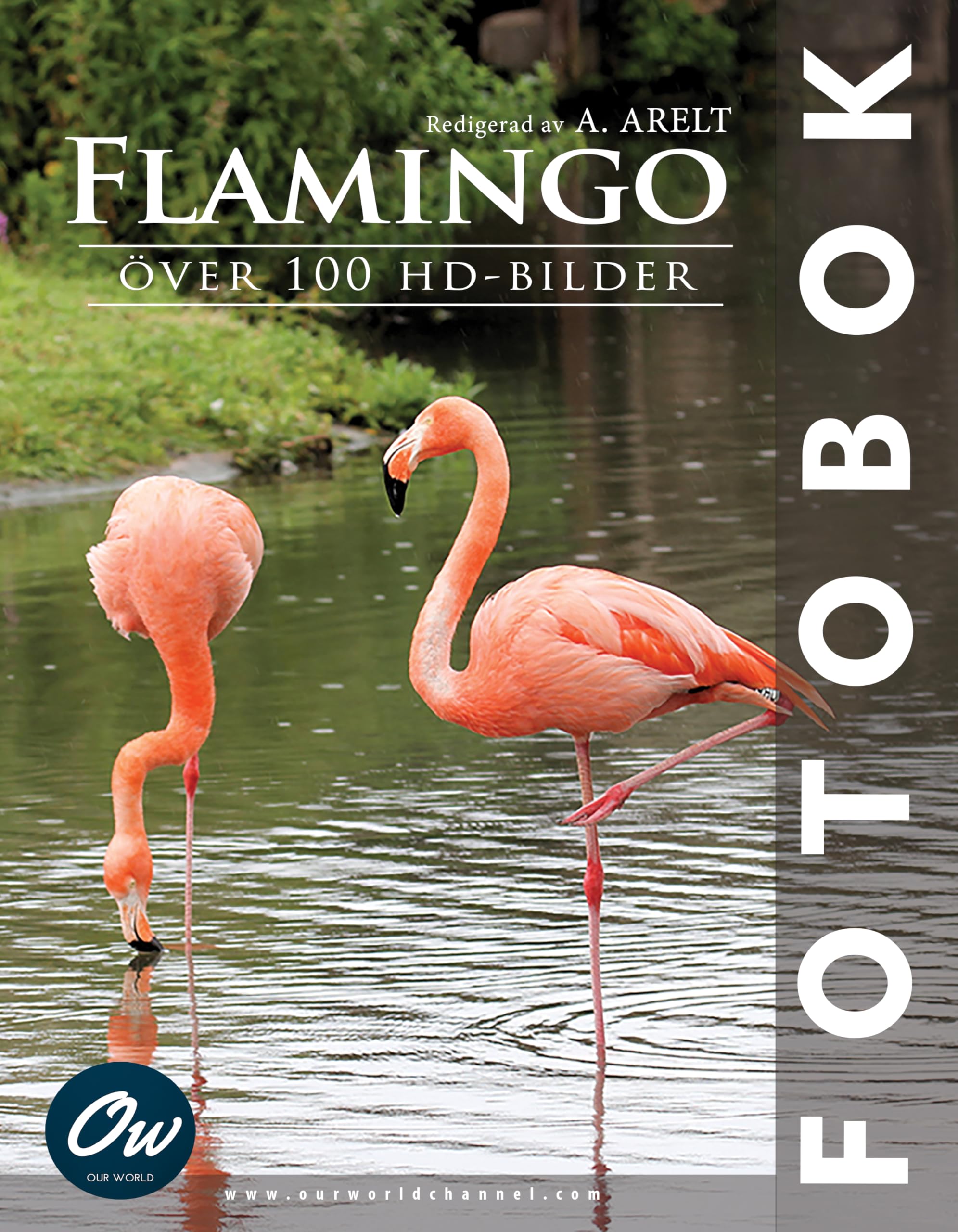Fotobok Flamingo grand format livre de photographie suédois