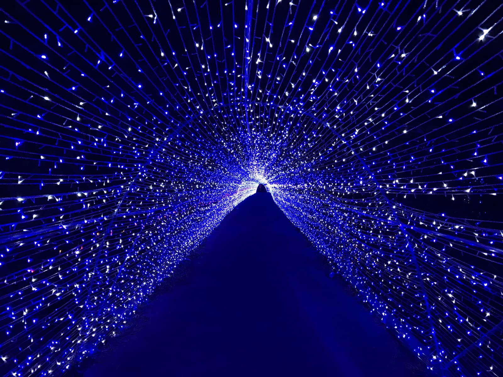 Luccika Guirlande LED Intérieur/Extérieur, 8 Modes d'Éclairage, Contrôleur 31V avec Mémoire, IP44 Étanche, Câble Vert, pour Noël, Fêtes et Décorations (Bleu, 25M 500LED)