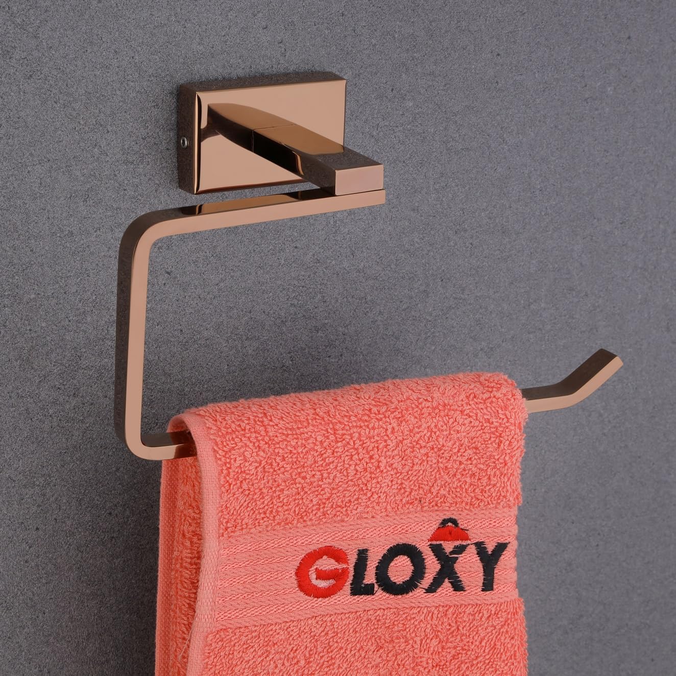 GLOXY Stainless Steel Napkin Holder for Washbasin Kitchen Wall Mounted Towel Ring Bathroom Accessories (B0CY2MY49H) Amazon Price History, Amazon Price Tracker