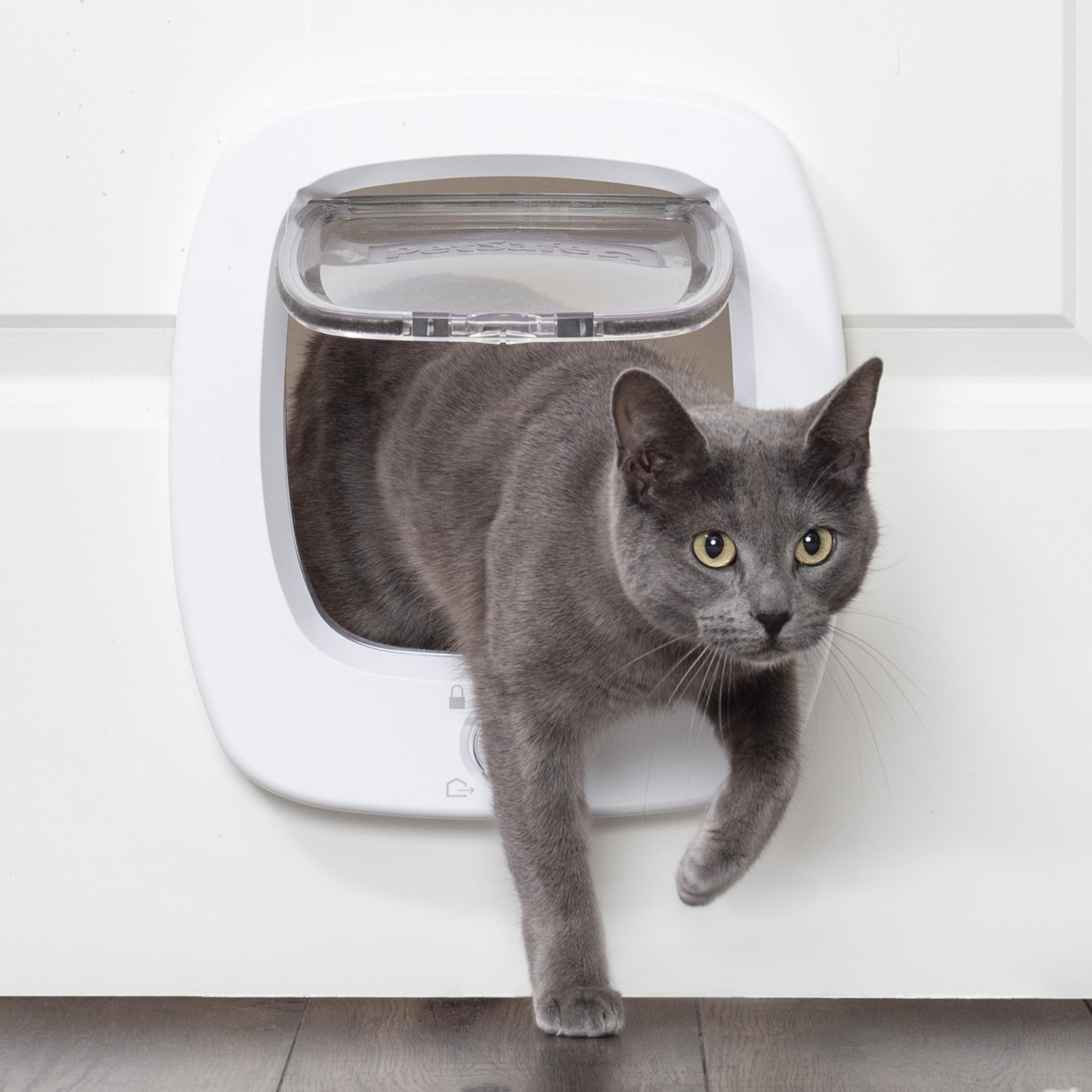 PetSafe Gatera con Microchip - Puerta para Mascotas Interior y Exterior - Bloqueo de 4 Modos y Cierre Suave - para Gatos y Perros Pequeños de hasta 11kg
