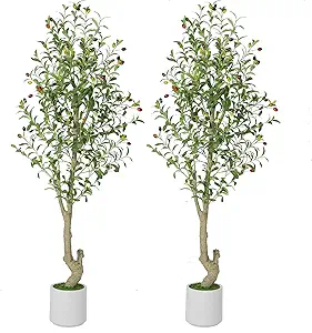 GarveeHome Faux Olive Tree 5ft, Olive Trees Artificial Indoor with White Planter, Artificial Silk Plants with Green Leaves and Big Fruits for Home Office DéCor Living Room Bedroom Stairs Foyer,2 Pack