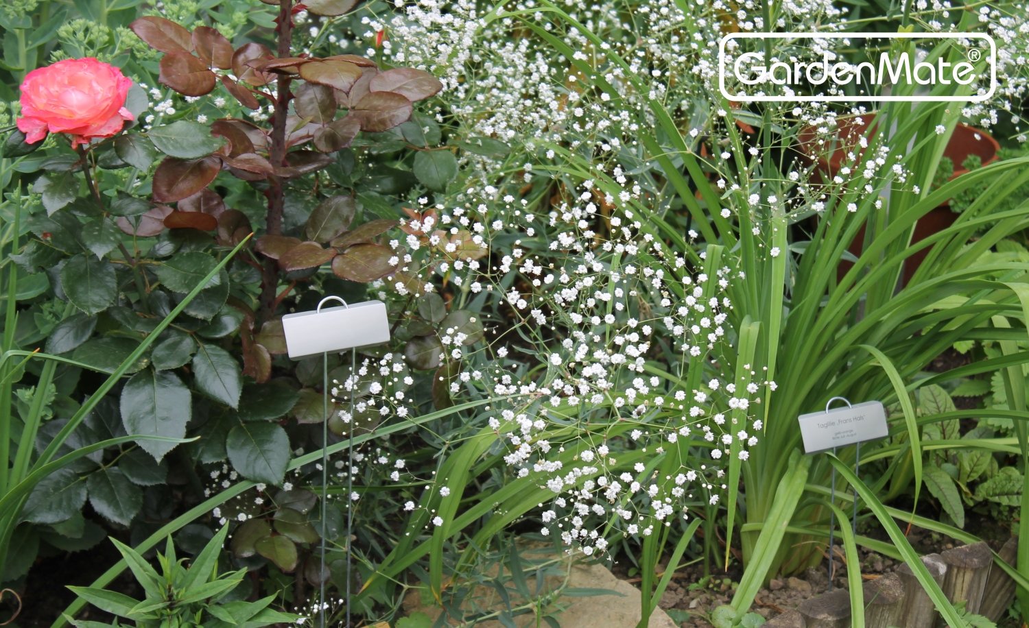 GardenMate 25x étiquettes marque plantes MEDIUM en métal - Surface 9x3cm Hauteur 30cm
