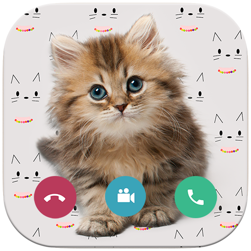 Video Call Cat Call cat talking meowing