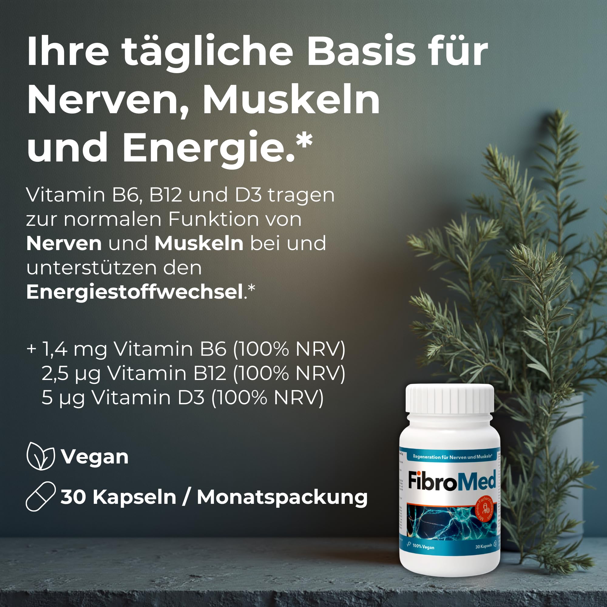 mit Vitamin B6, B12, Folsäure, Vitamin D3, Omega-3 & Pflanzenextrakten – unterstützt Nerven, Muskeln & Energiestoffwechsel – vegan, laborgeprüft & in Deutschland produziert – 30 Kapseln*