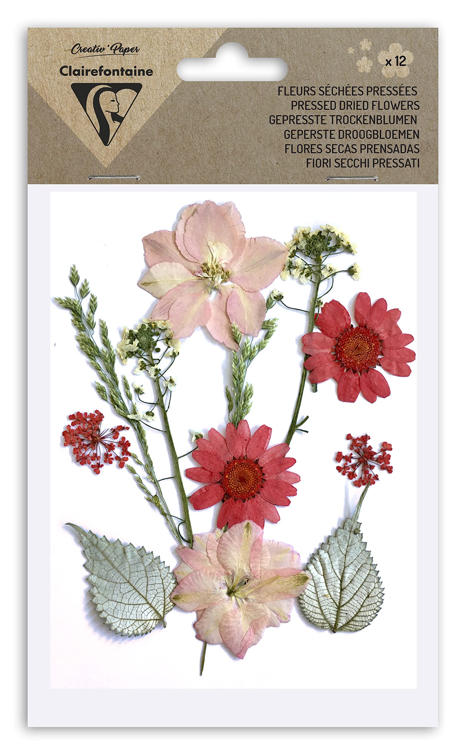 Clairefontaine 12 Fiori Veri Secchi Pressati - Confezione Assortimento Rosso Per Scrapbooking E DIY