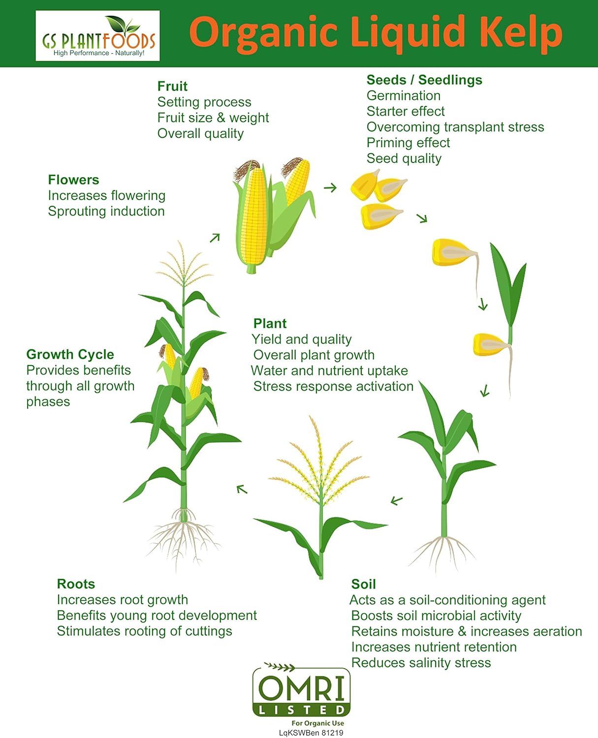 Liquid Kelp Organic Seaweed Extract Fertilizer OMRI Listed 1 Gallon Concentrate - Image 3