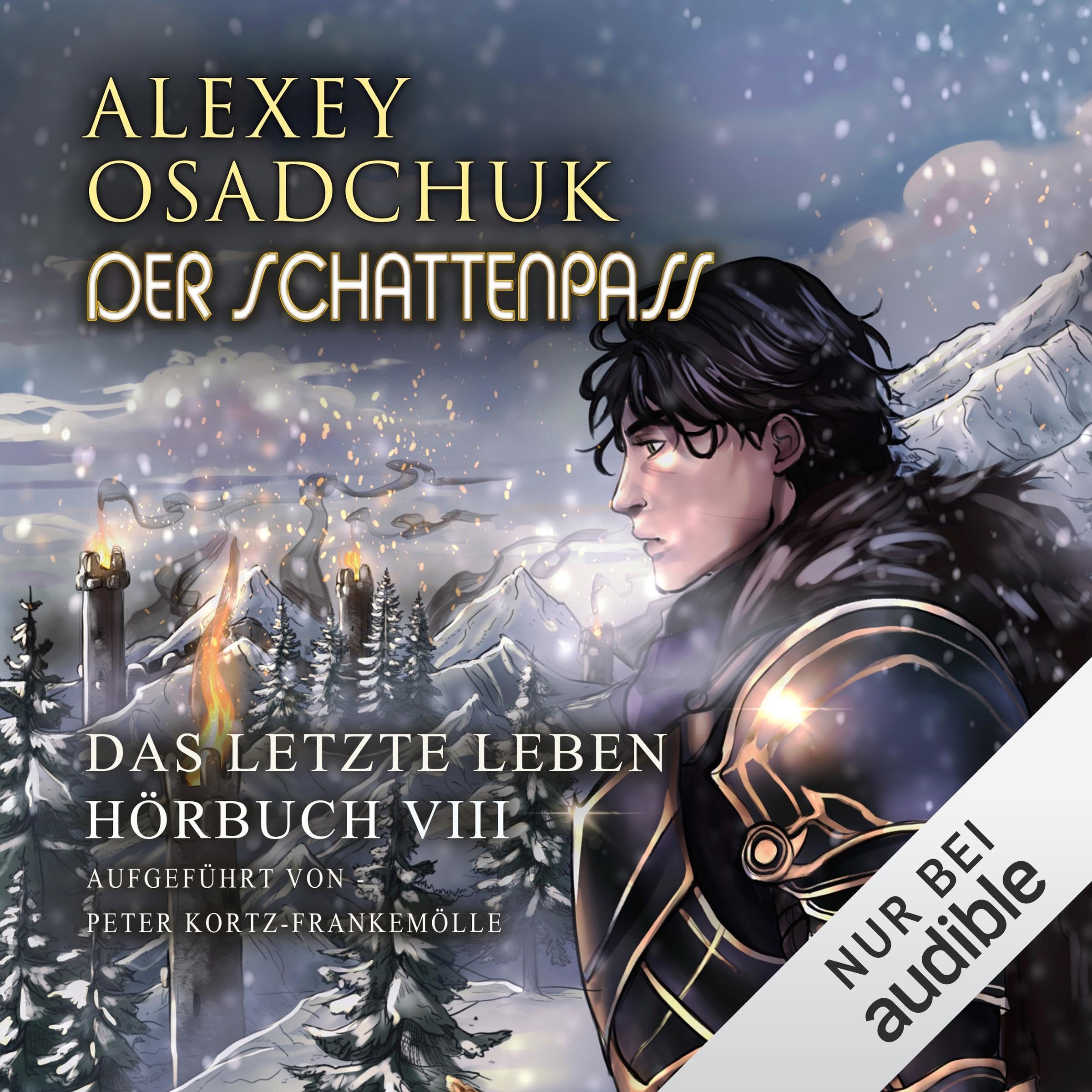 Cover art for Der Schattenpass. Eine Progression-Fantasy Serie