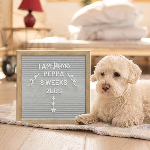 Miniatura 8 de Alsonerbay Tablero de letras de fieltro de 10 x 10 pulgadas de madera intercambiable con letras precortadas, números y símbolos para anuncio de