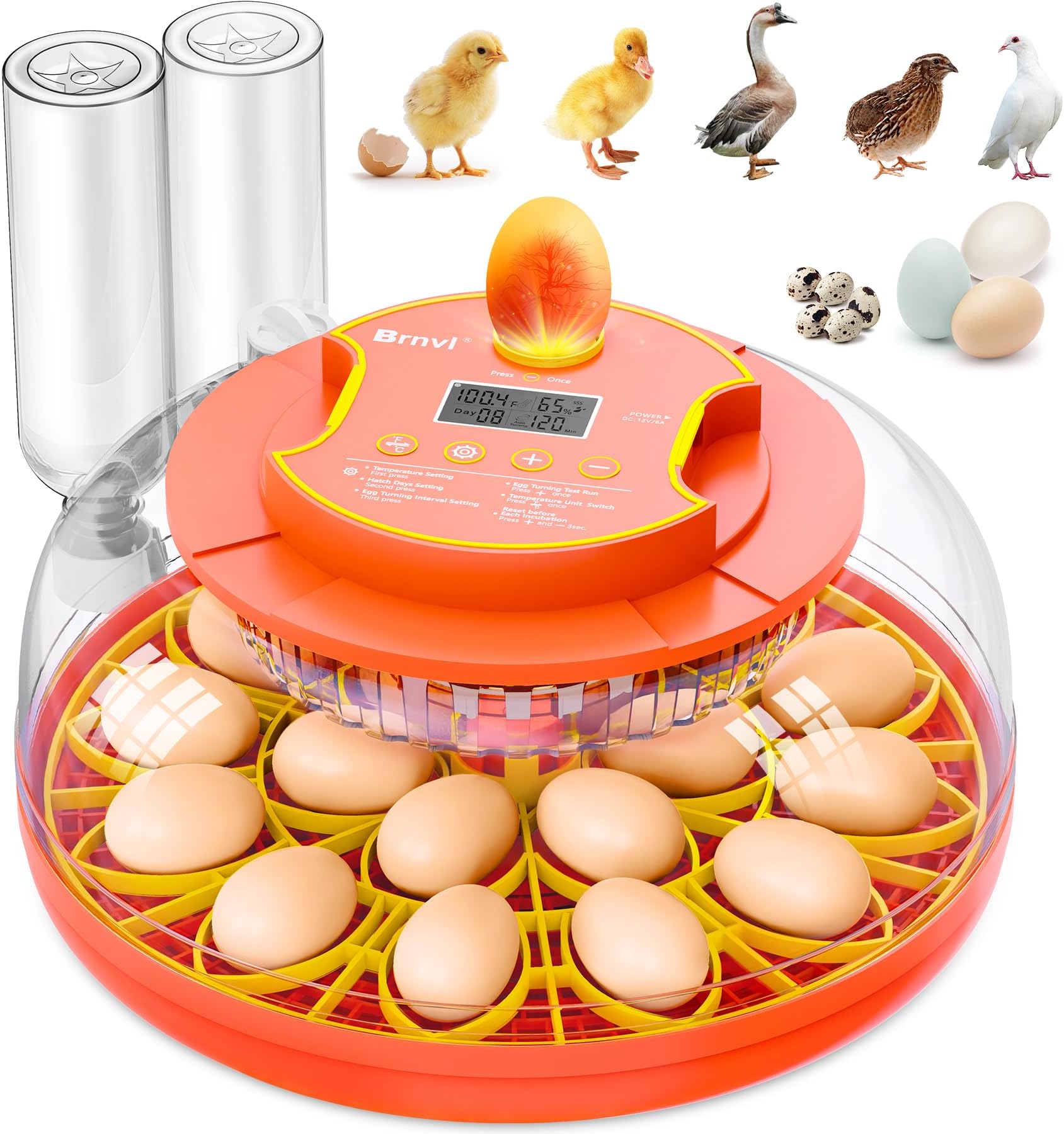 18 Egg Incubator with Automatic Egg Turning, Digital Temperature Humidity Control, Incubator for Hatching Eggs, 360° View Candler, Chicken, Quail, Duck, Goose, Turkey for Home & Farm