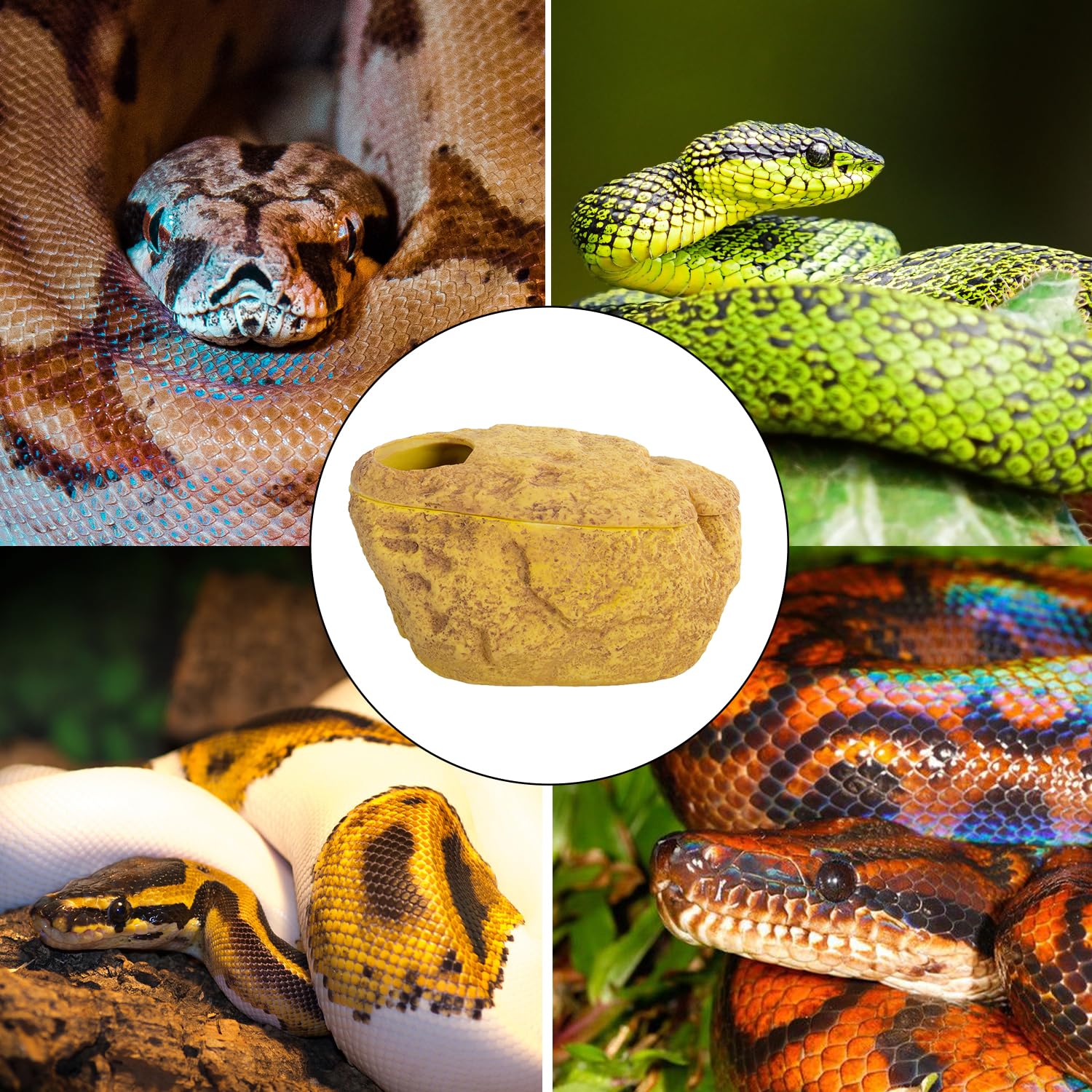 REPTI ZOO Cueva de serpientes y pieles, cueva 3 en 1 para escondite de reptiles para serpiente, pitón esférico, gecos (tamaño grande)