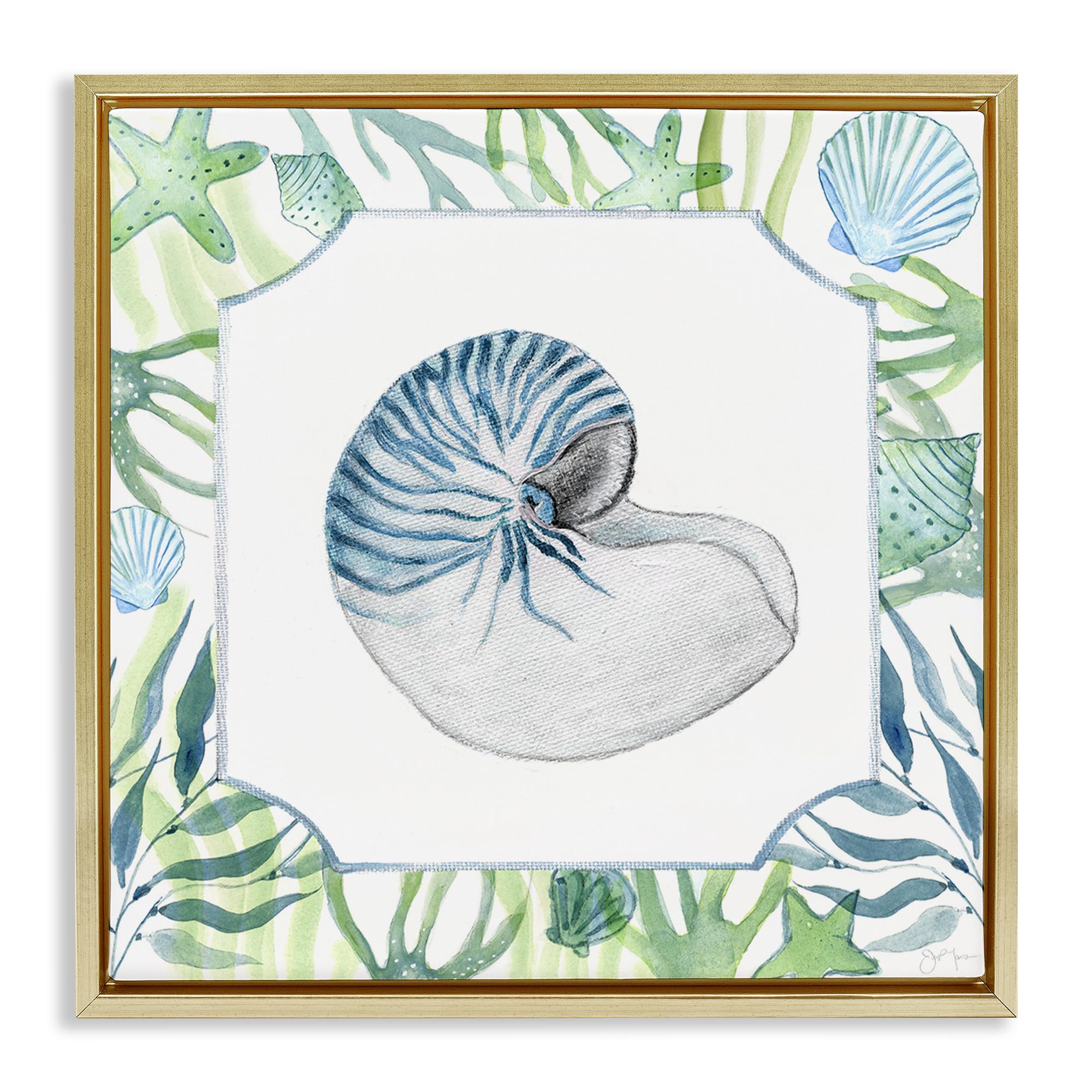 Seaweed Seashells Aquatic Coastal, 24 x 24 Inch Canvas in Floater Frame