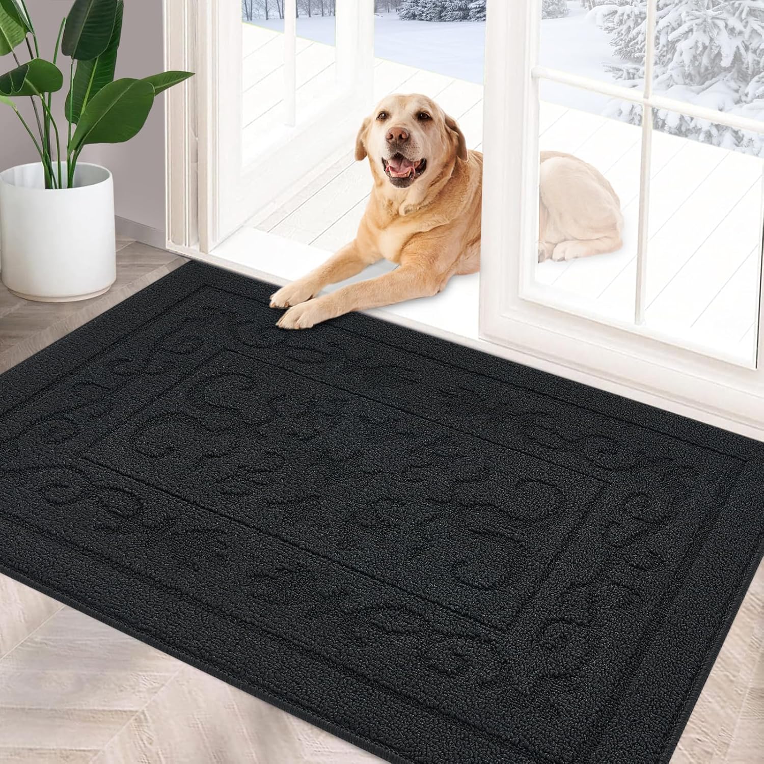FONEYI Indoor Doormat, Front Back Door Mat 24"x36