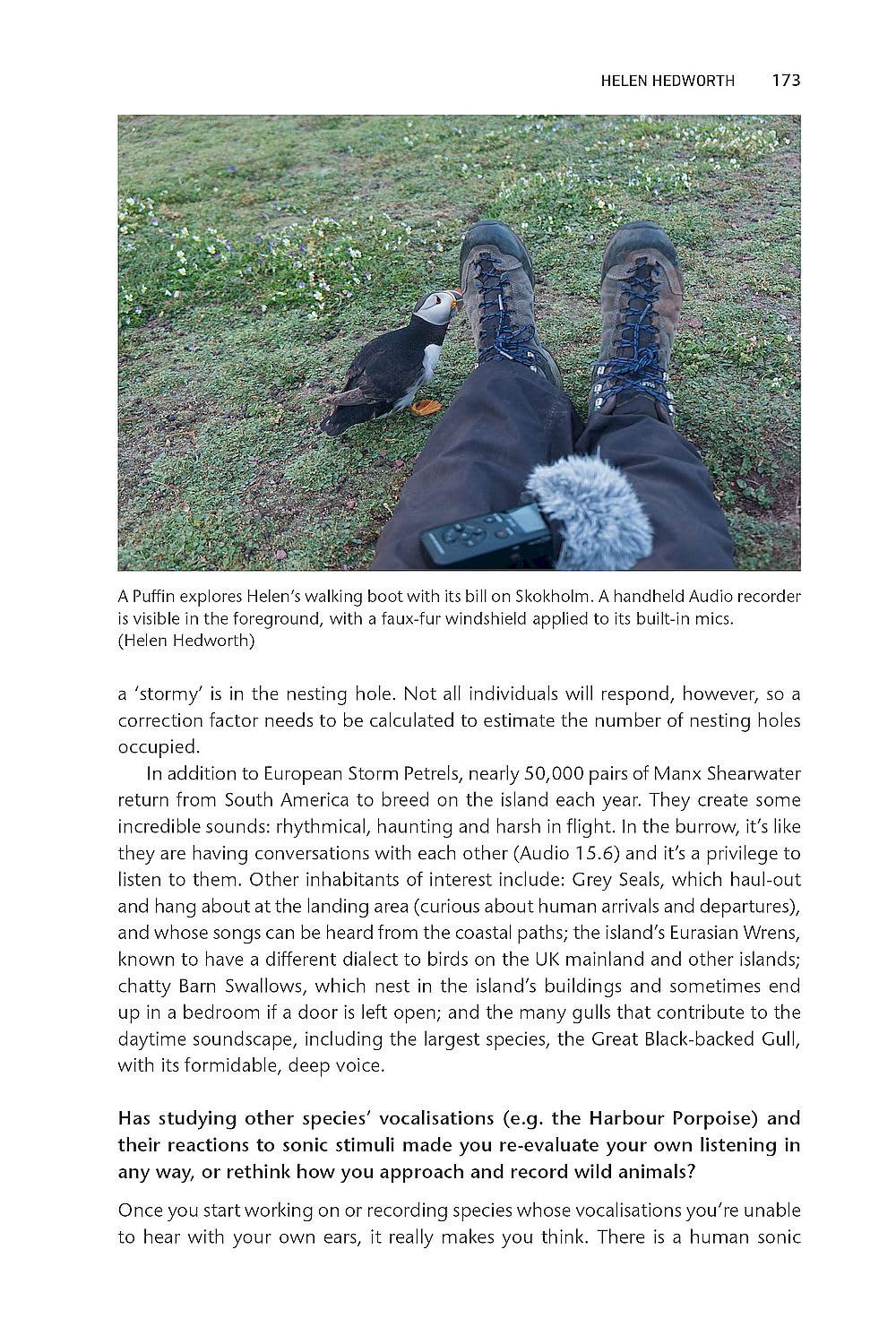Perspectives on Wildlife Sound Recording: An Overview of Modern Practice
