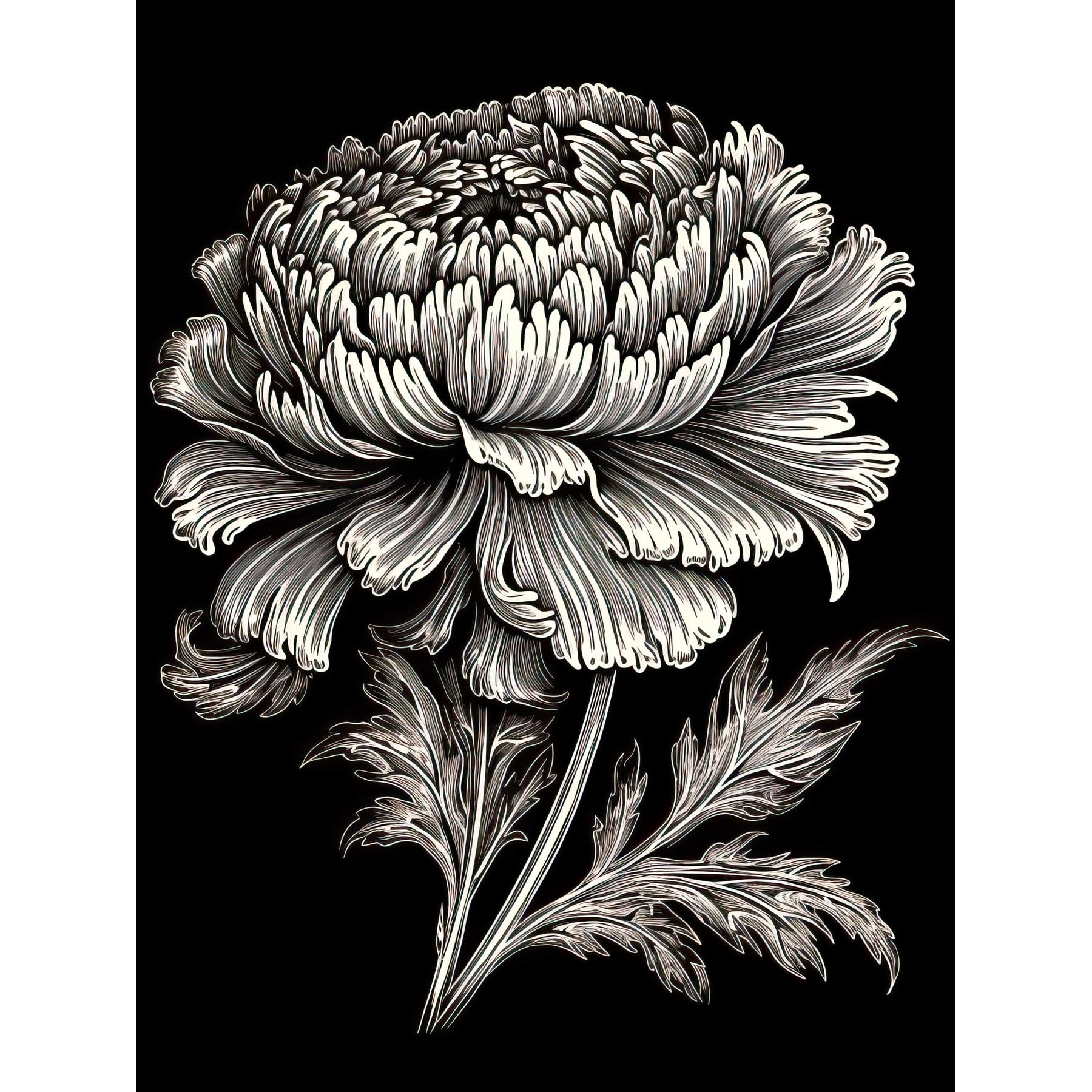 Artery8 A Single Marigold Flower Black and White Linocut Large Wall Art Poster Print Thick Paper 18X24 Inch