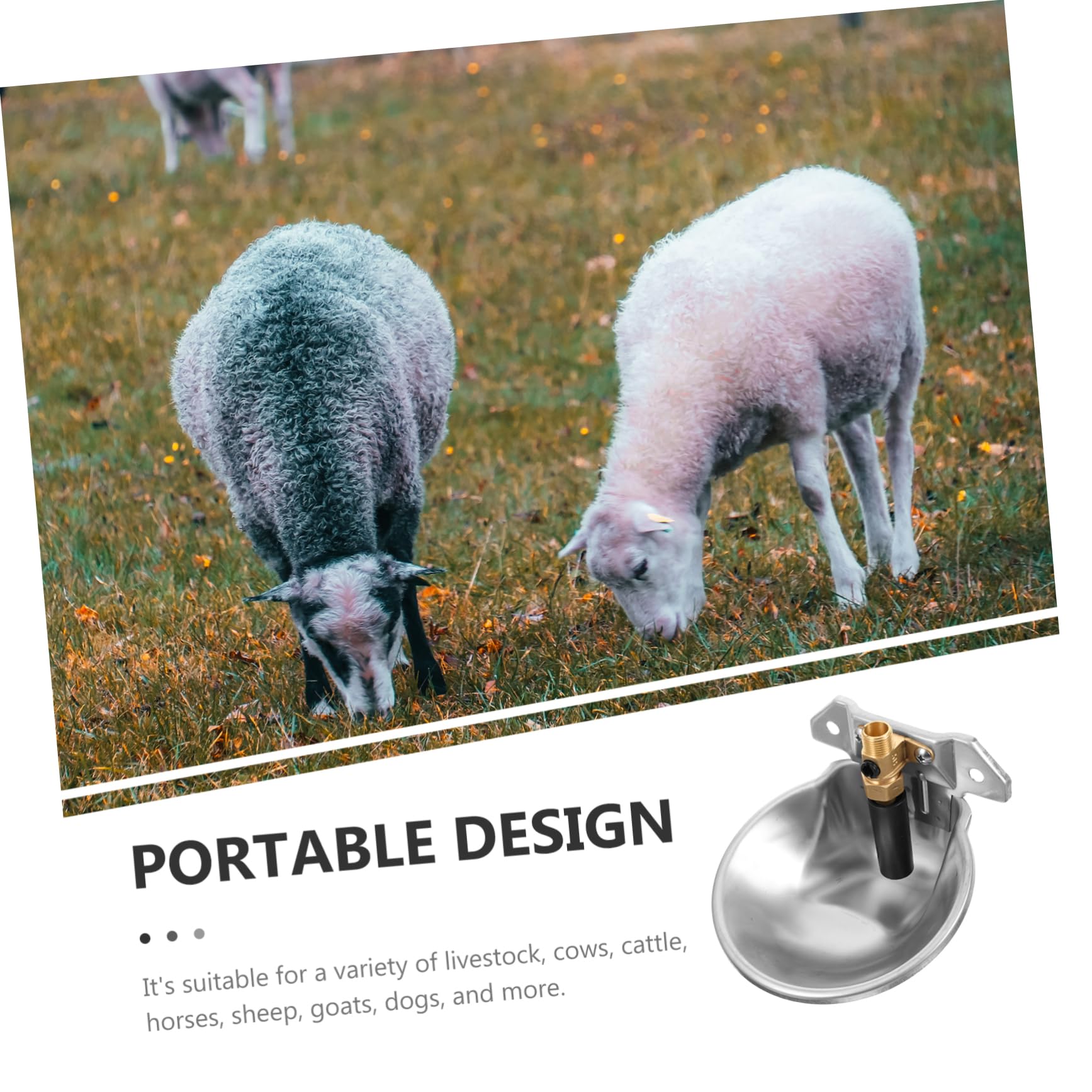 Abreuvoir Automatique Argenté en Bétail Acier Inoxydable | Grand Volume, Bords Arrondis, Usage Ferme et Farmhouse, Alimentation en Eau Continue, Finition sans Rouille