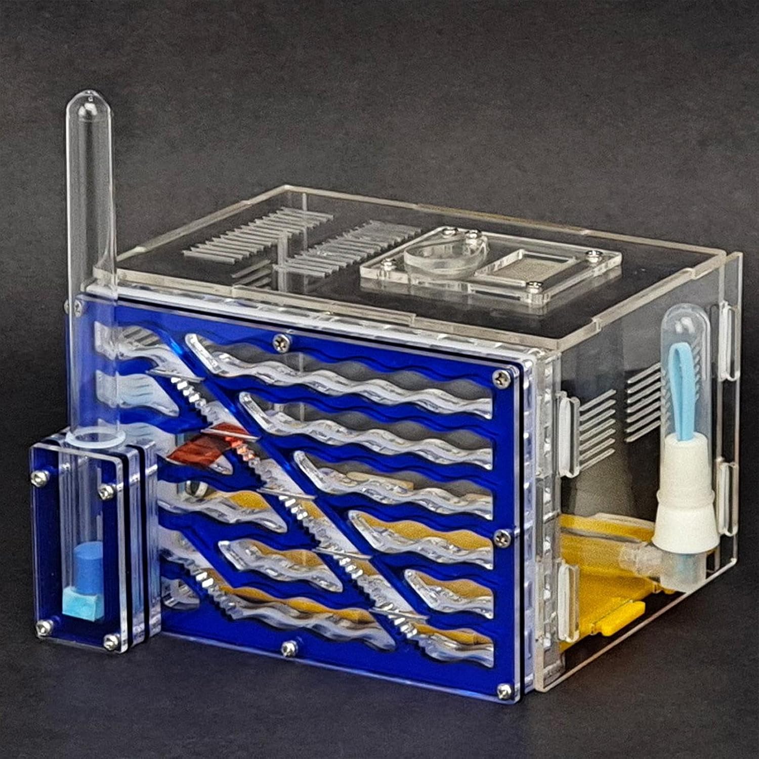 ANT Housing Nest ANT Farm Display Box Breeding Case for Tabletop Science Observation