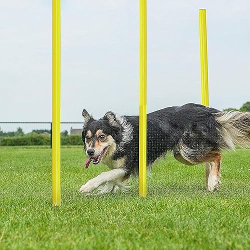 Miniatura 7 de Paquete de 5101520 bastones de agilidad de fútbol  Bastones de eslalom flexibles de PVC amarillo para entrenamiento de fútbol  Deportes al aire