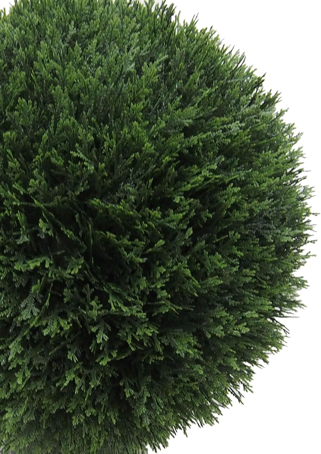 Vickerman Everyday 20" Artificial Silk Cedar Topiary Ball - UV Resistant Indoor Outdoor - Potted Natural Green - Home Patio Tabletop Faux Bush Decoration