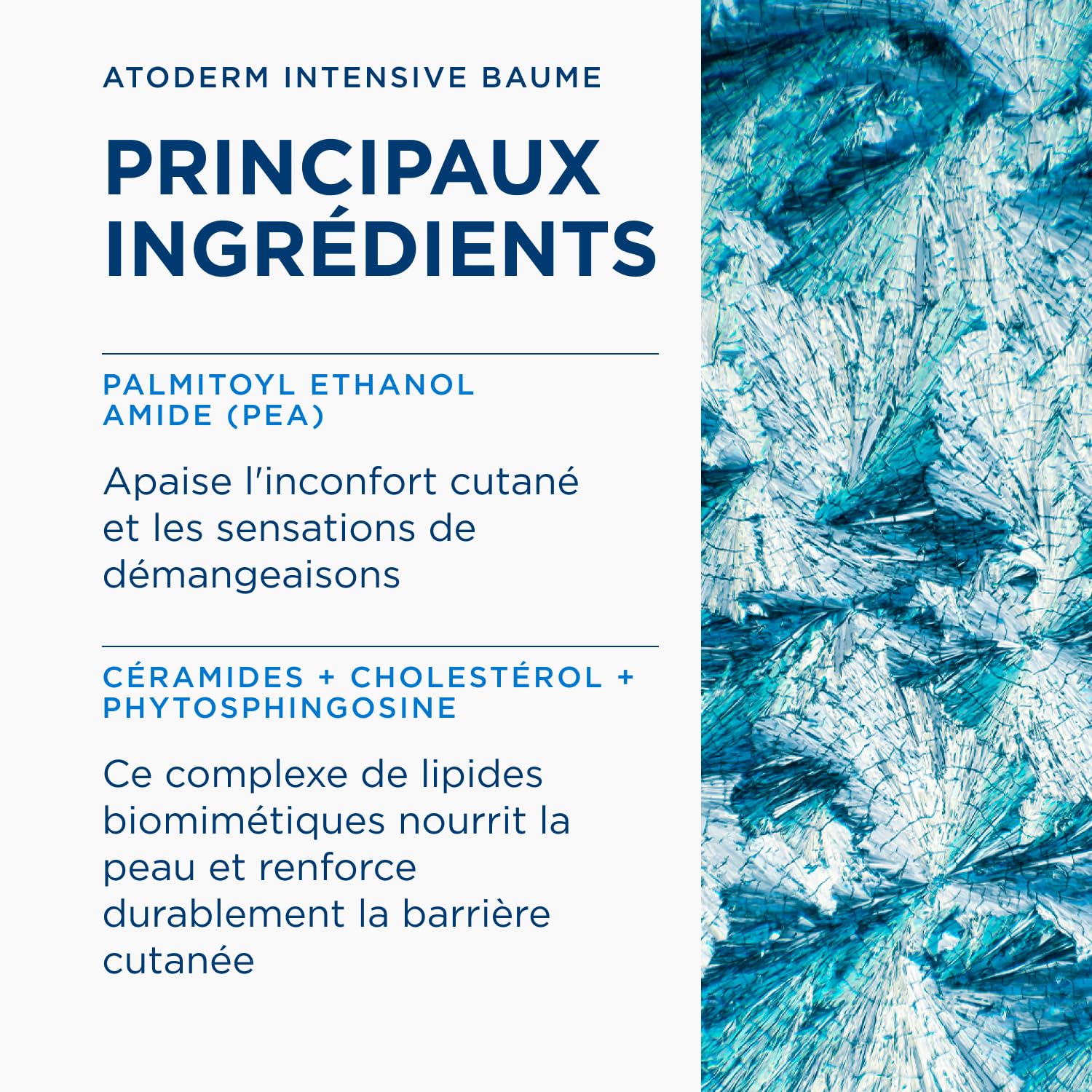 BIODERMA Atoderm Intensive Baume - Soin anti-démangeaisons, réparateur et nourrissant - Peaux très sèches, irritées à atopiques - Prescrit par des dermatologues - Flacon pompe 500 ml