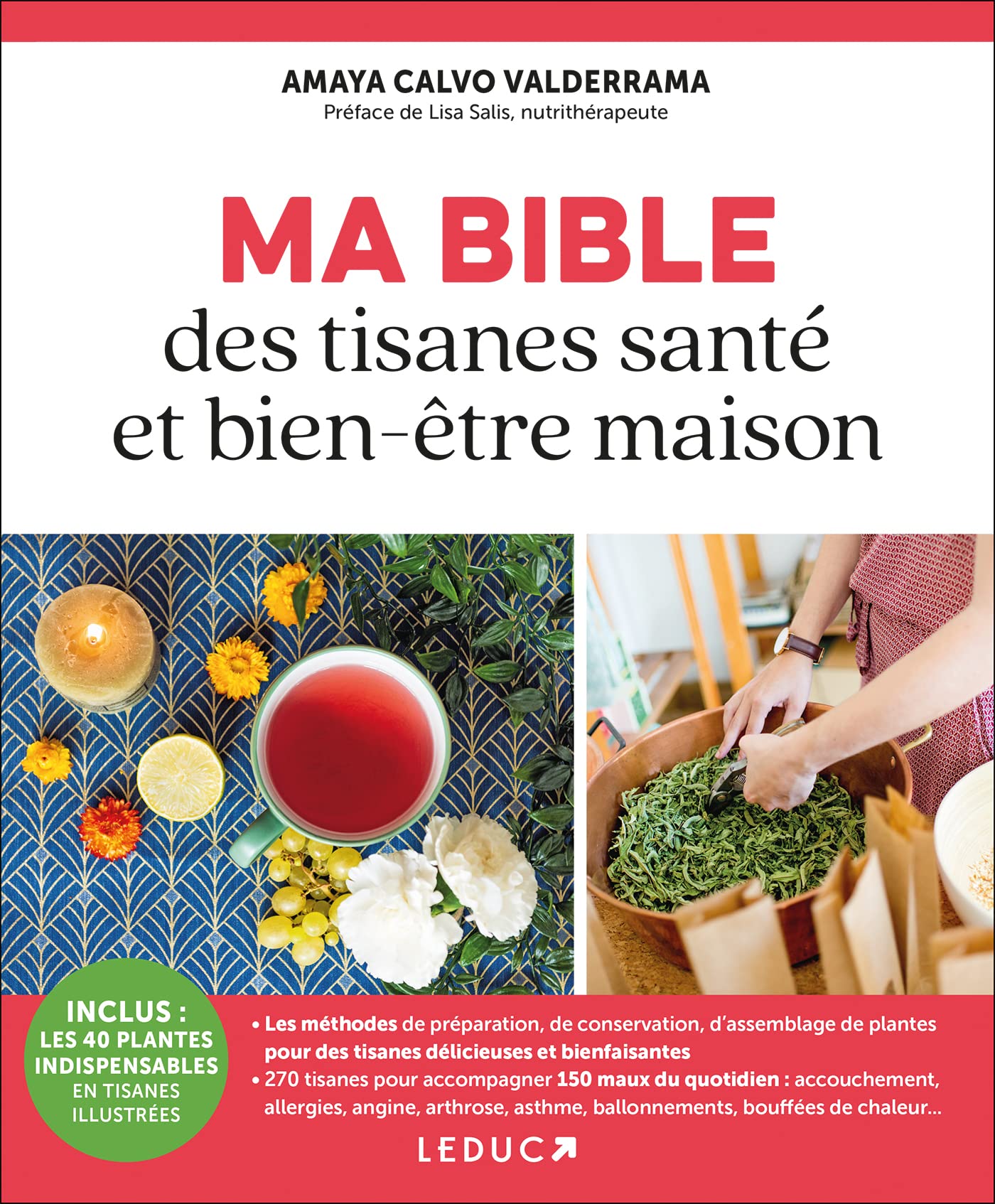Ma Bible des tisanes santé et bien-être maison