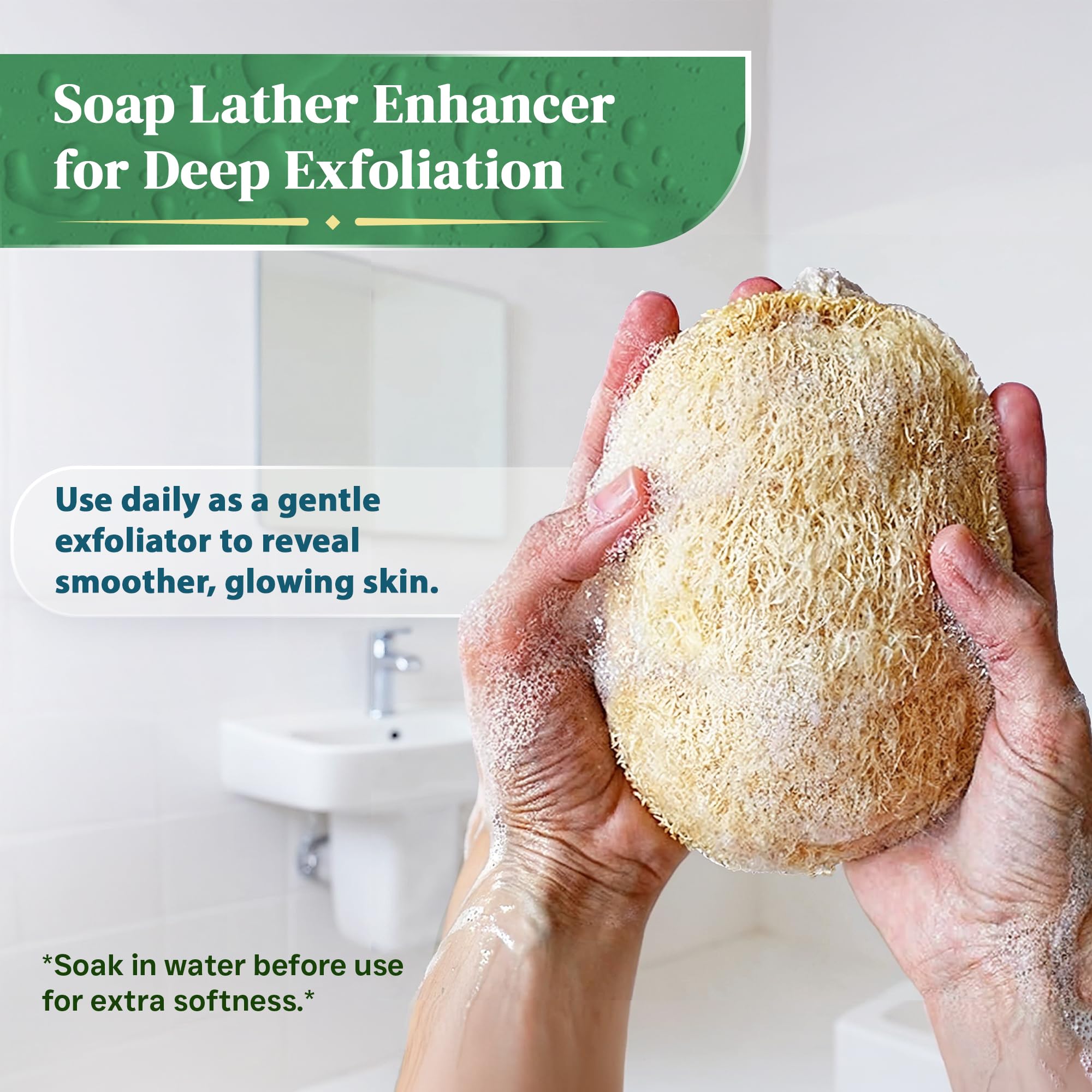 Esponja exfoliante natural de lufa (3 unidades) – Lufa orgánica para el cuerpo – Luffa de ducha biodegradable – Esponjas de baño naturales Loufa – Estropajos para el cuerpo