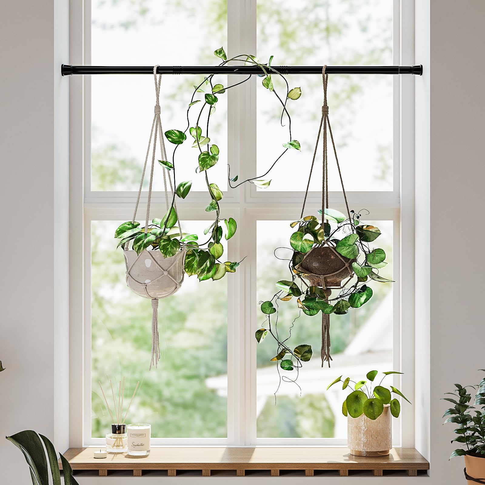 Amazon.com: Bamworld Window Plant Hanger Indoor Adjustable Hanging Planters  for Indoor Plants Spring Tension Rods 27''-51'' No Drilling Expandable Hanging  Plant Holder for Hanging Basket for Balcony Decor(Black) : Patio, Lawn &