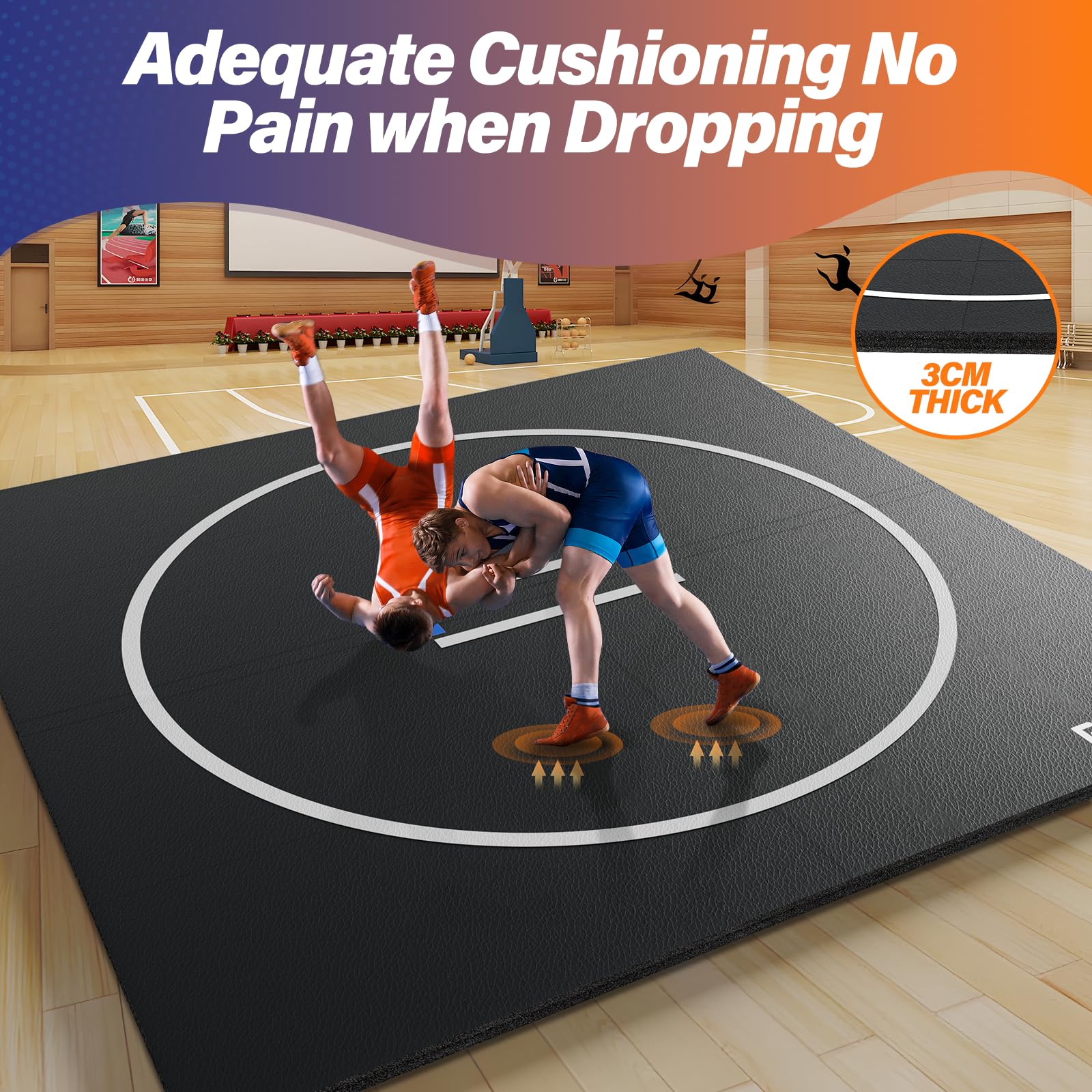 Photo 1 of Wrestling Mat
