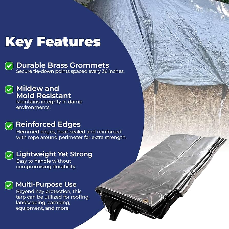 EVERNEW Tarp TC 4 285 × 400 cm EVERNEW Tarp TC 4 285 × 400 cm EVERNEW Tarp TC 4 285 × 400 cm